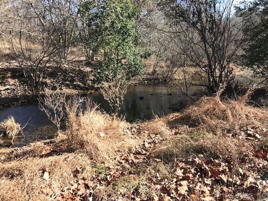 THIS IS 60 ACRE MOL IN JESSIEVILLE THERE 2  TRACTS WITH SEPARATE PARCELS.. ONE IS ON HWY 298 AND ONE IS ON ROCK SPRINGS ROAD PROPERTY HAS NO SELLER DISCLOSURE, AND IS SELLING AS IS WHERE IS DEBRIS WILL NOT BE CLEANED UP BY SELLER. ACREAGE IS ESTIMATED. SELLER WILL NOT PROVIDE A SURVEY. SELLER IS REQUIRING THAT THE BUYER BE A CASH PURCHASER! DO NOT TRESPASS. LISTING AGENT MUST ACCOMPANY.  PROBATE COURT MUST APPROVE.