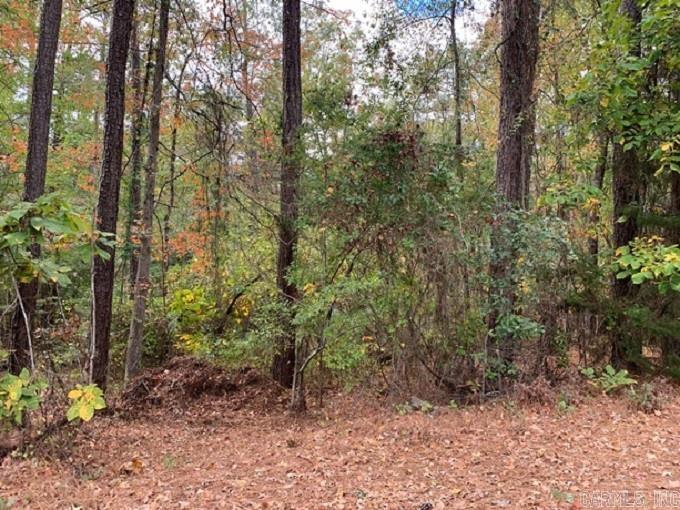 A great place to build your dream home or build your own home and a guest house, barn, shop, etc. Ready for your imagination! Close to city and all amenities! *Survey on file for your review.