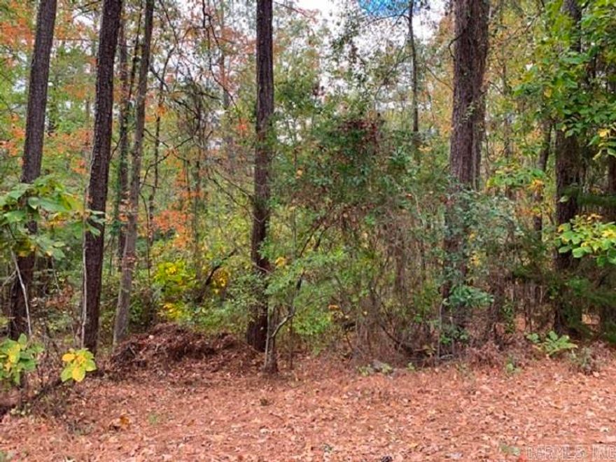 A great place to build your dream home or build your own home and a guest house, barn, shop, etc. Ready for your imagination!  Close to city and all amenities!    *Survey on file for your review.