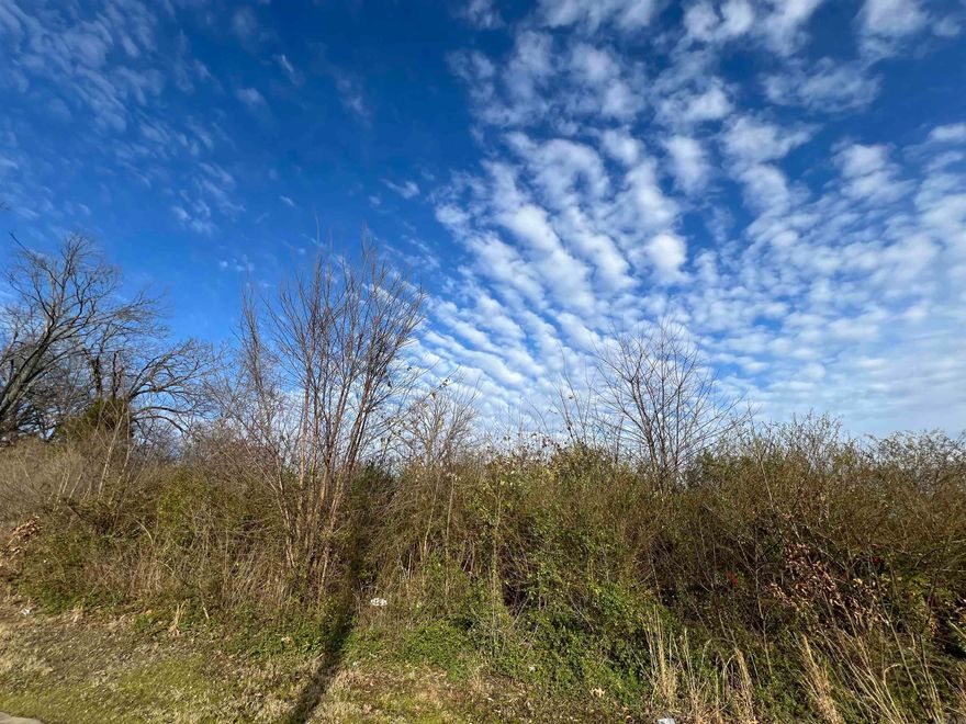 Welcome to this charming property located in the heart of Little Rock's Euclid Place subdivision! This spacious lot, consisting of two combined parcels (Lot 19 and 20, Block 3), offers an ideal opportunity for both homeowners and investors. With approximately 0.23 acres of land, this property features a prime location close to schools, parks, shopping, and major roadways, making it a convenient choice for daily living. Whether you’re looking to build your dream home or take advantage of the growing real estate market, this property provides the perfect canvas for your next project. Don’t miss out on this great opportunity in a vibrant and developing neighborhood!