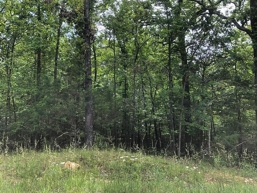Unimproved Side by Side Lots - These three lots close to the South Fork River & Town Center. Ownership gives you access to all of the Cherokee Village amenities; 7 lakes and 2 great rivers for fishing, boating, canoeing/kayaking, and swimming, 2 championship golf courses, several nature walking trails, recreation centers, numerous parks, near historic downtown Hardy.
