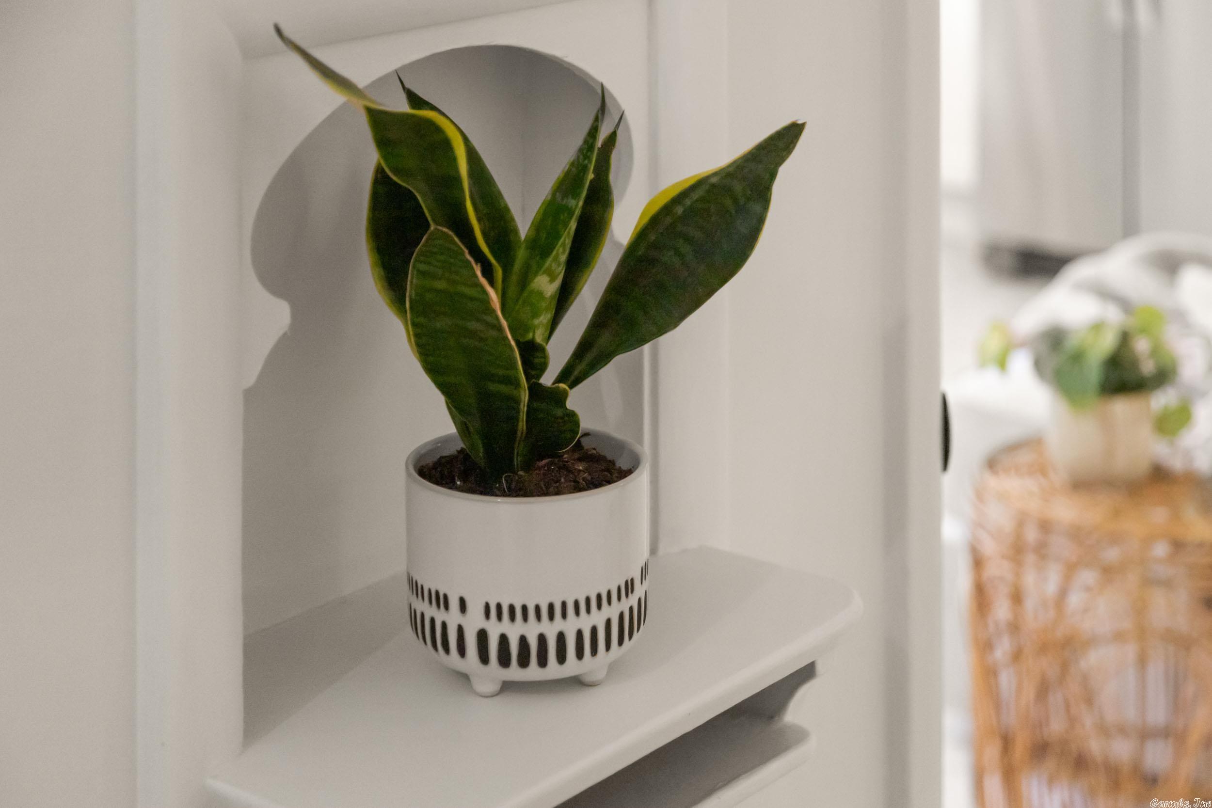 PARK HILL - Residential