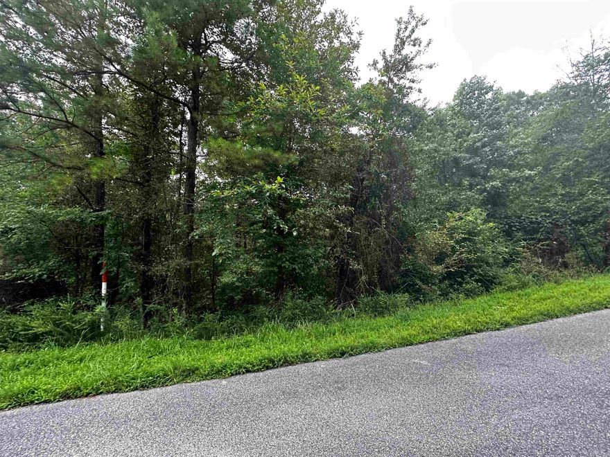 Great Neighborhood to build your dream home at the lake. Undergrounds utilities already in place! Lake pictures taken below the white line. Mineral rights do not convey.