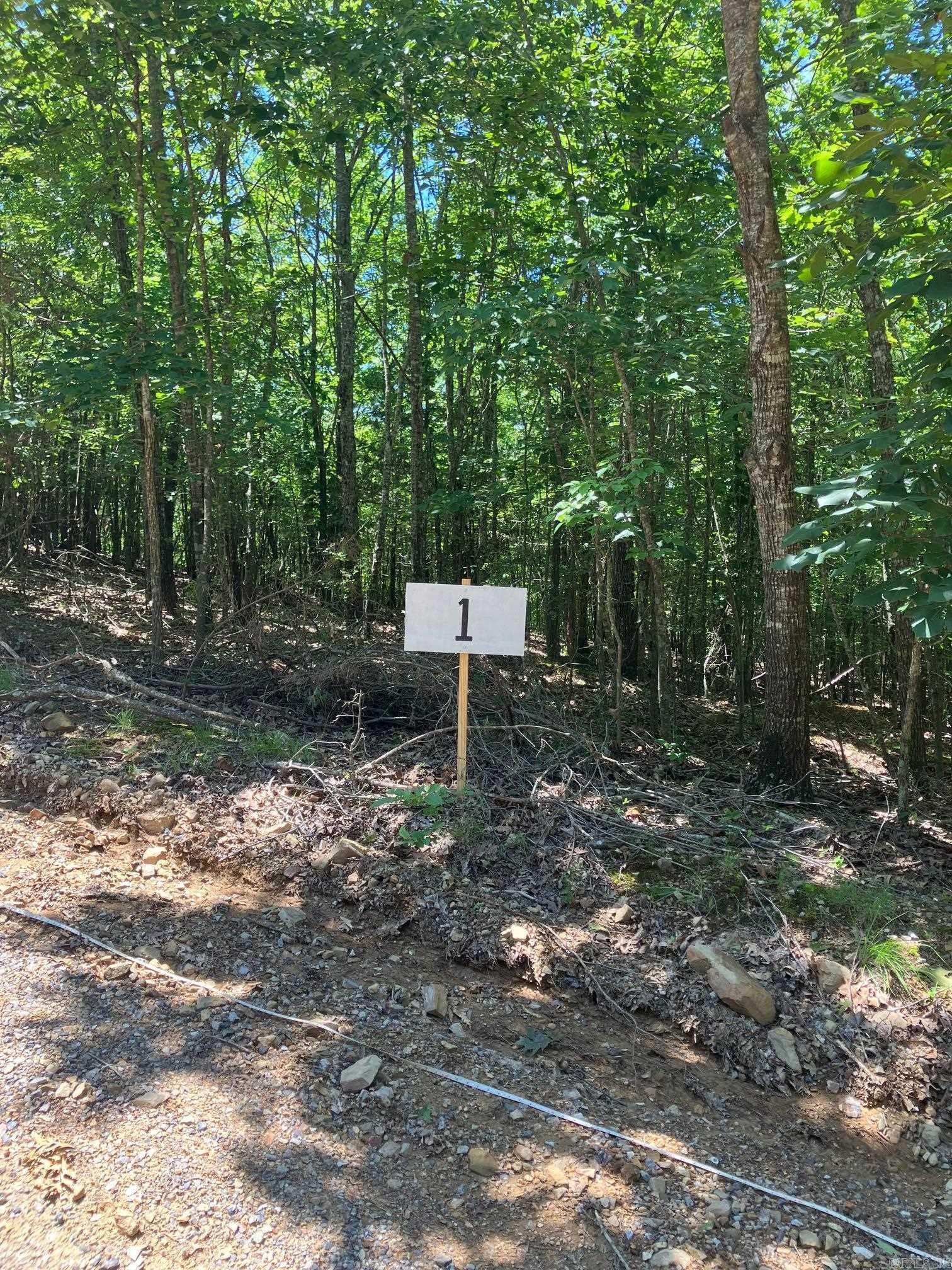 Track 1 - 3 acre parcel that has home/cabin site is tucked into the trees down. Nice fairly level area to put in a driveway to a knoll that is a great spot for a home/cabin site. There are draws around the raised up area to build on offering nice separation. Many nice trees that could stay, others could be thinned to open up a view. Very close to the Ouachita Forest trails. Can ride an ATV all the way to Wolf Pen Gap Trail System. See map in pictures. See Survey in documents. This lot is in a location that is quiet and peaceful yet only 7.7 miles to Mena, AR. Septic system and well is needed. Each lot was carefully laid out to give each site areas of trees/draws between the sites making each feel like your own forested oasis. These lots are in a location that would make really amazing sites to build a weekend cabin or a full time residence and at a price that is hard to beat. Tract 4 and 5 both perc tested for standard septic systems.