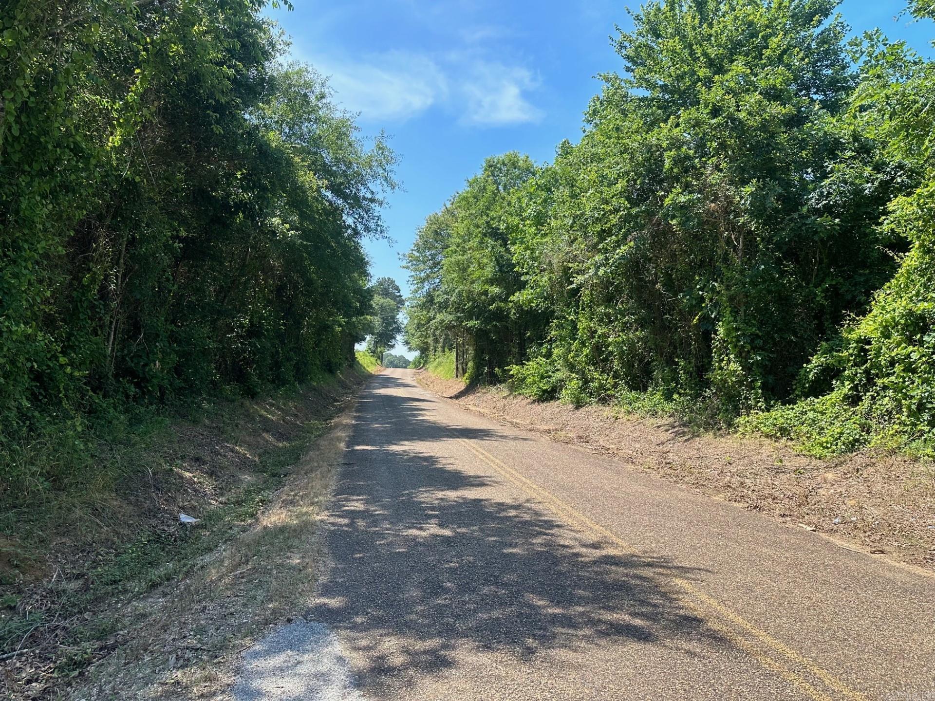 The āProvidence 40ā is a ±39.72-acre tract located in the southern part of Hempstead County, about five miles south of the Spring Hill community. Hempstead County Road 161 provides access and ¼ mile of frontage. This property offers potential for multiple home sites in the Spring Hill school district! Most of the tract has a pine plantation that was planted in 2023. There are also about 10 acres of Hardwood-Pine that provides more diversity of this tract. Most rural utilities (electrical, phone, & water) are available along Hempstead County Road 161. Whether you are looking for a place to build your dream home, or just looking for a place to hunt or just āget awayā, or both, check on the āProvidence 40ā