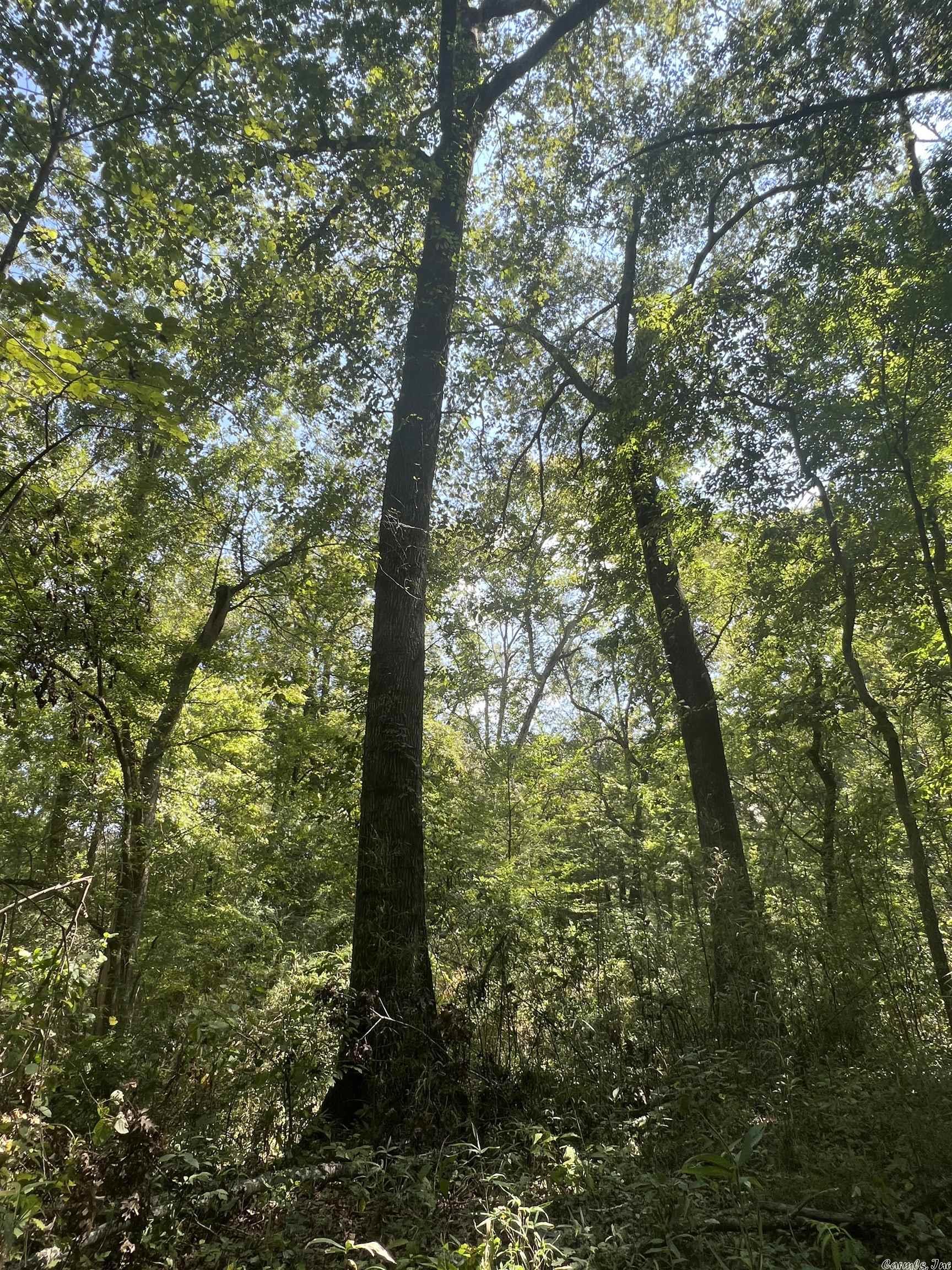 Metes & Bounds - Land