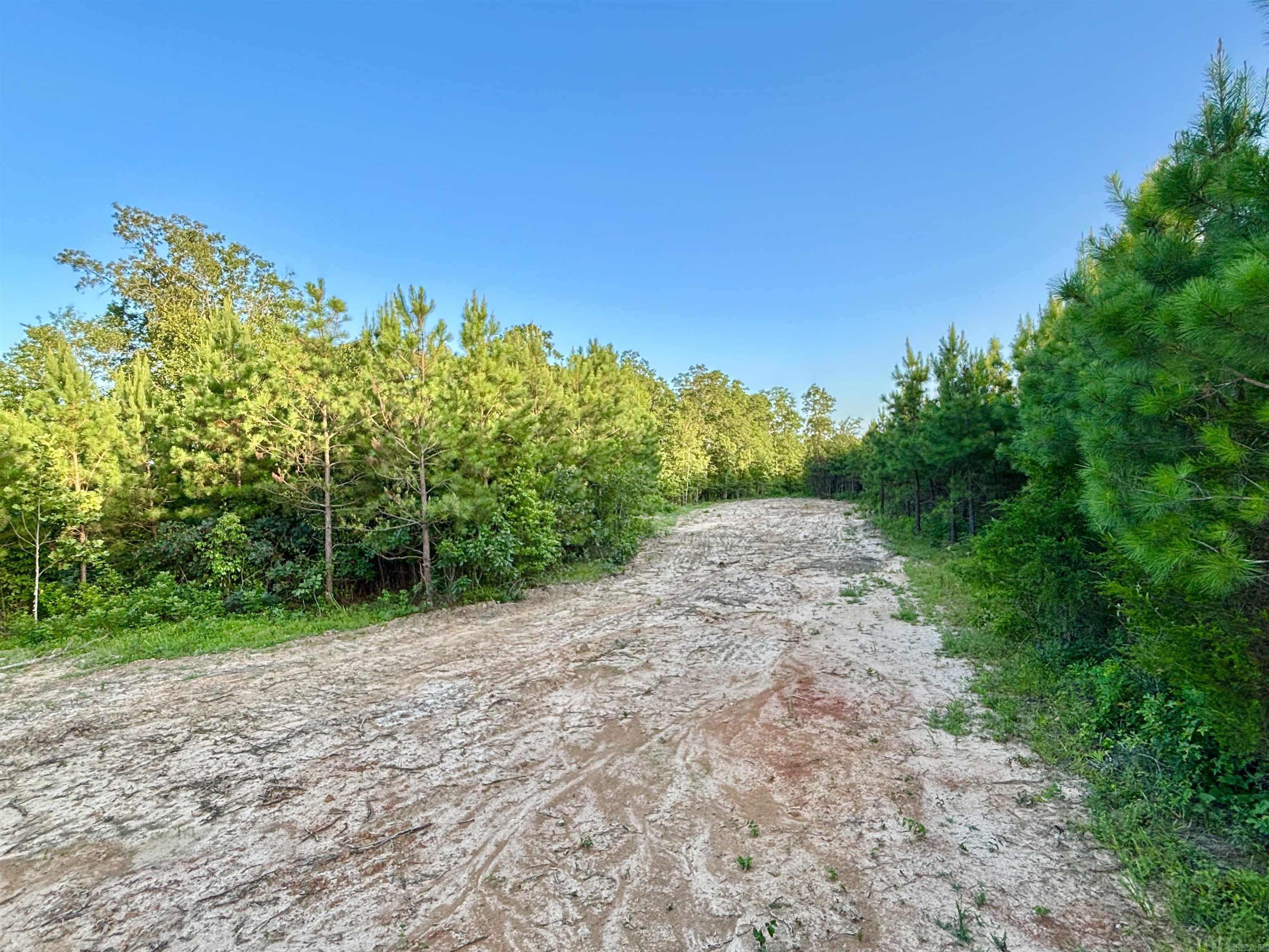 Lake Avalon Estates - Land