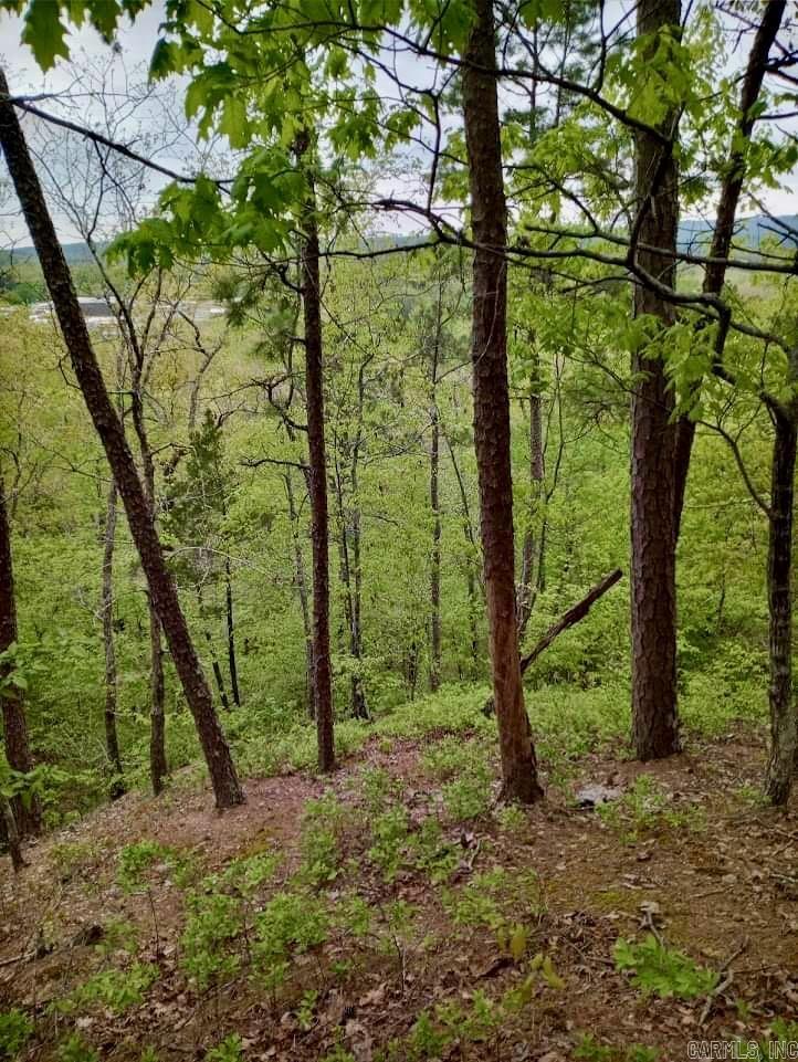 Caddo Hill Estates - Land