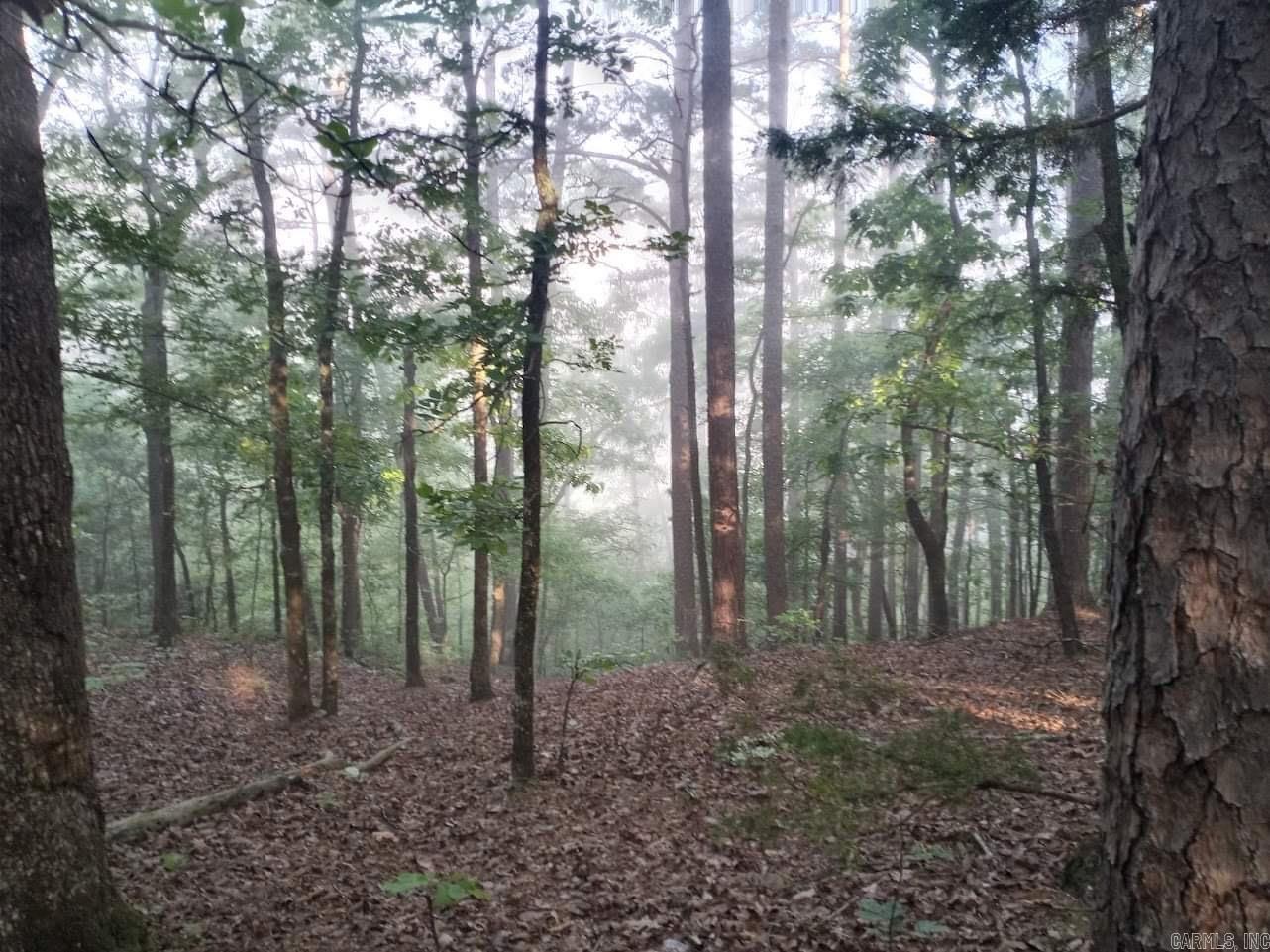 Caddo Hill Estates - Land