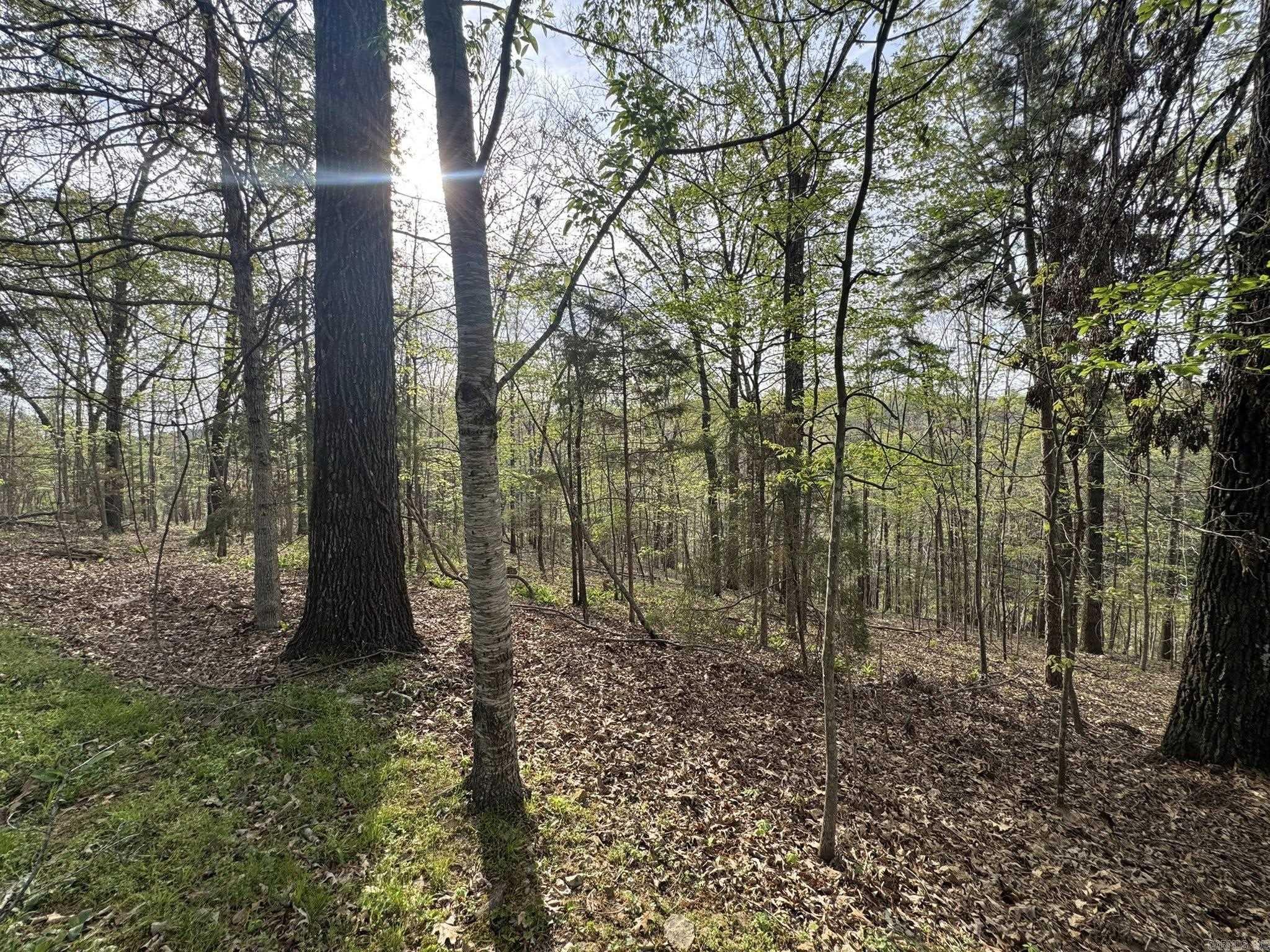RIDGEVIEW ACRES - Residential