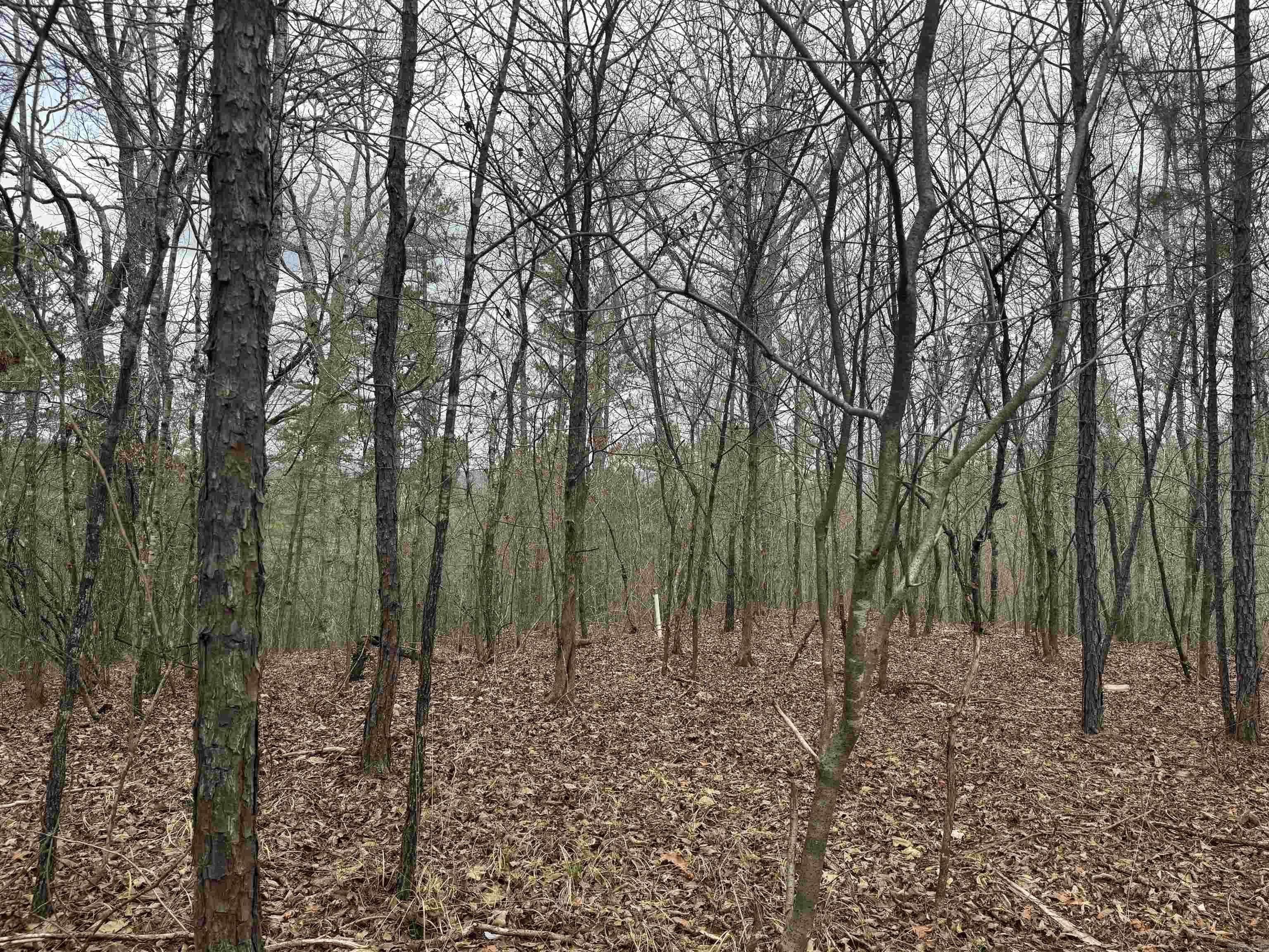 Treasure Isle #1 - Land