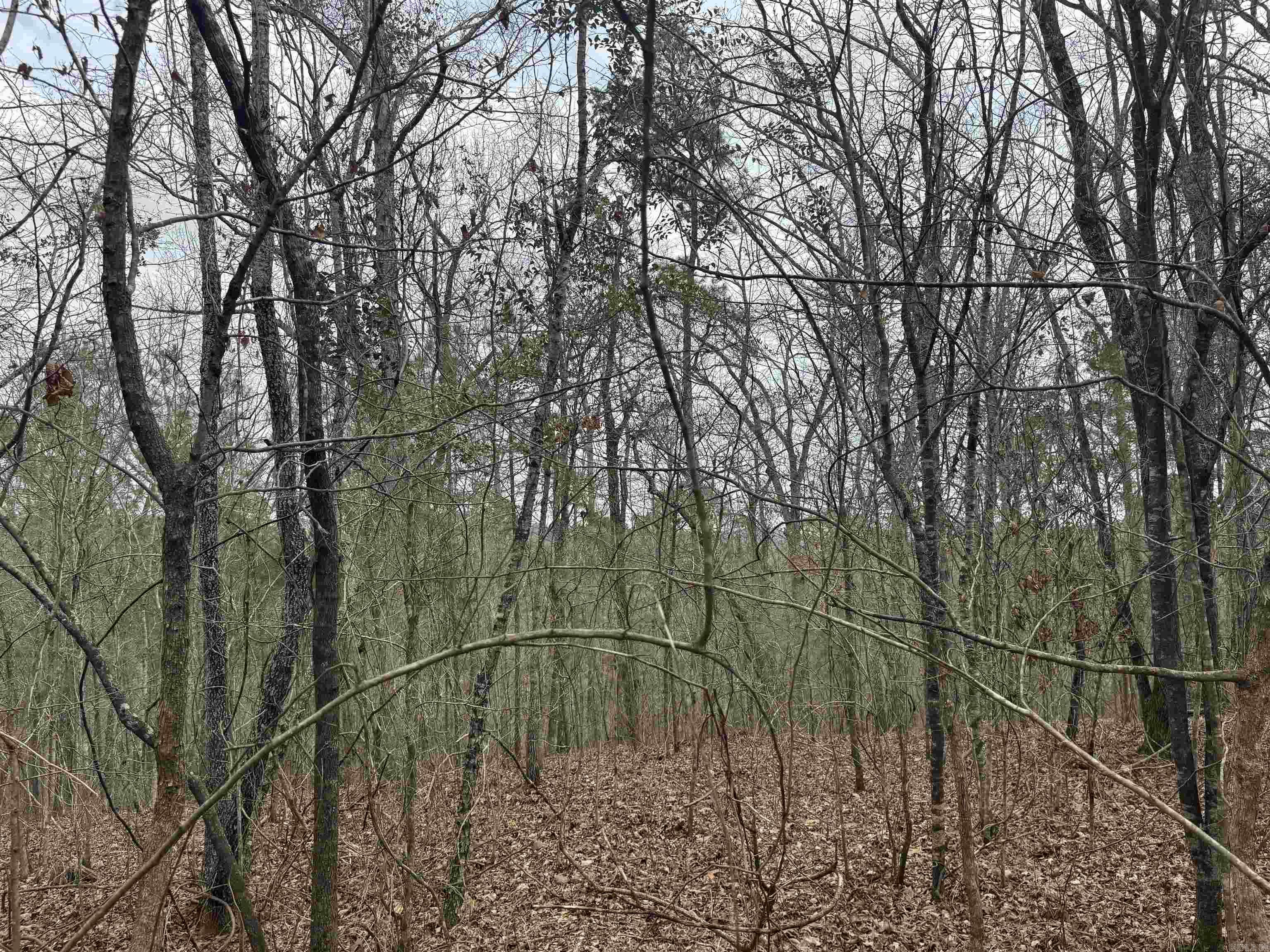 Treasure Isle #1 - Land