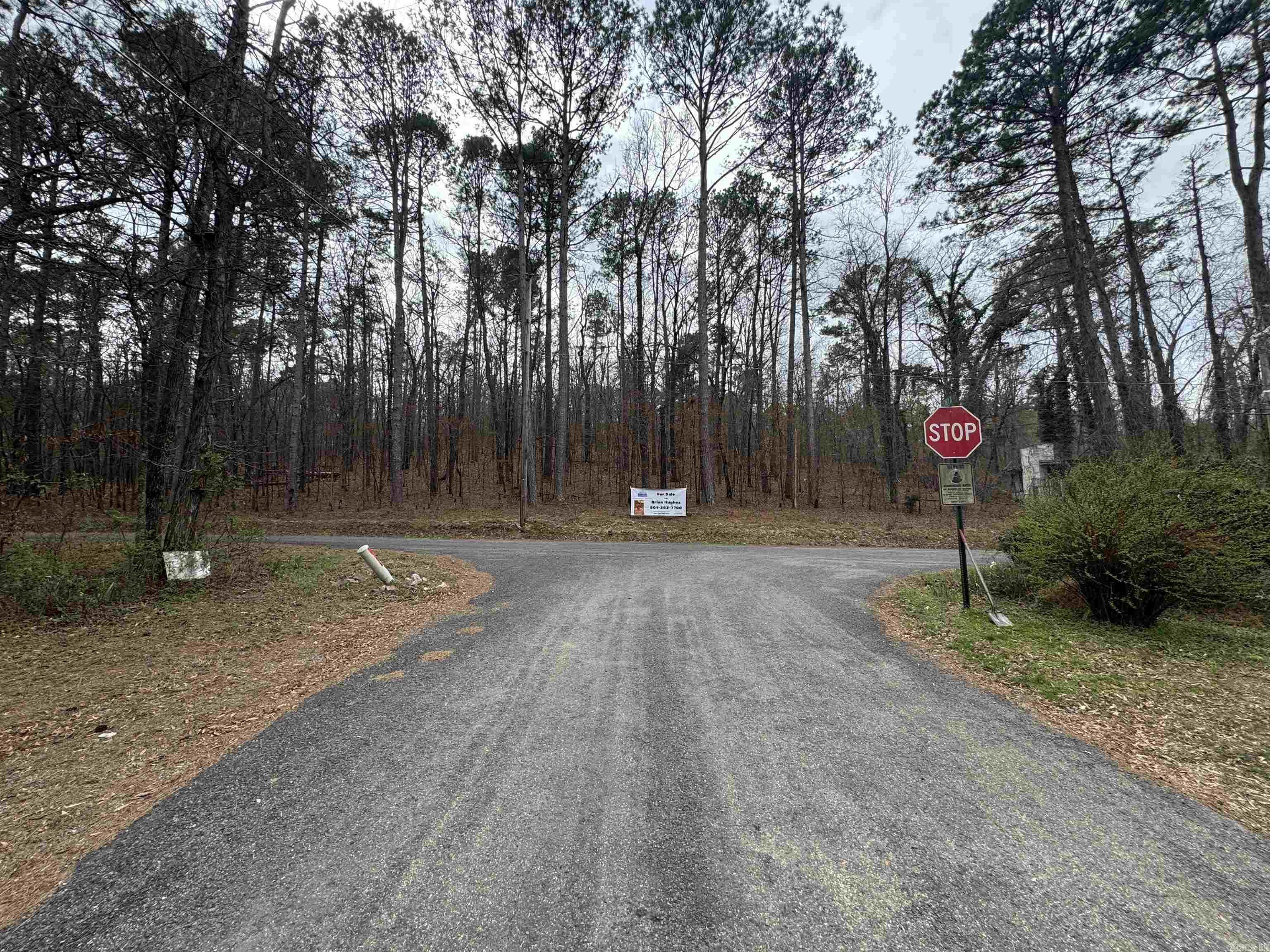 Treasure Isle #1 - Land