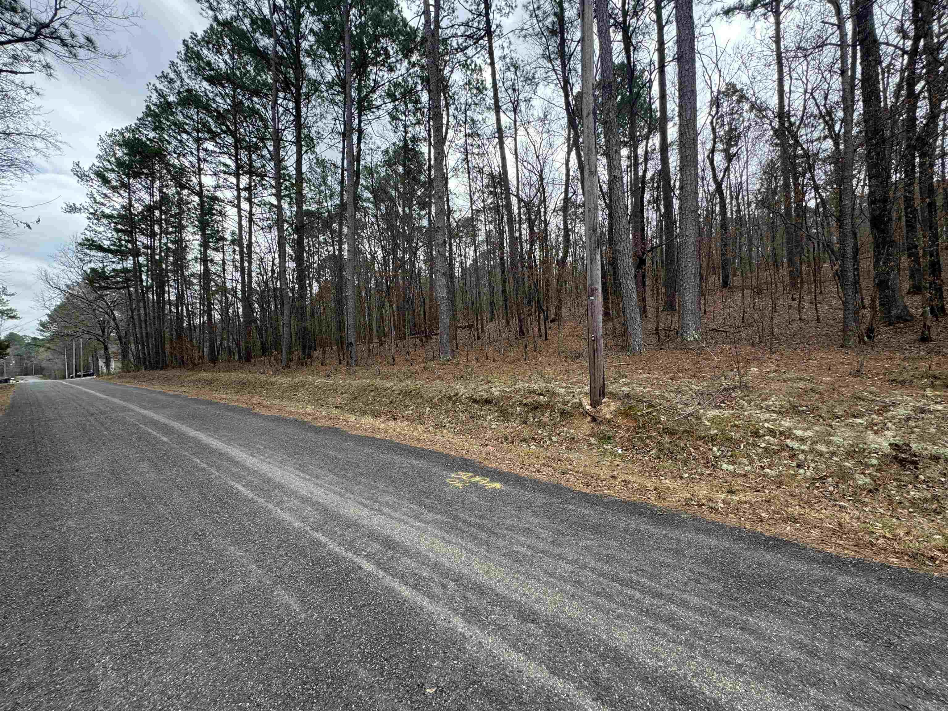 Treasure Isle #1 - Land