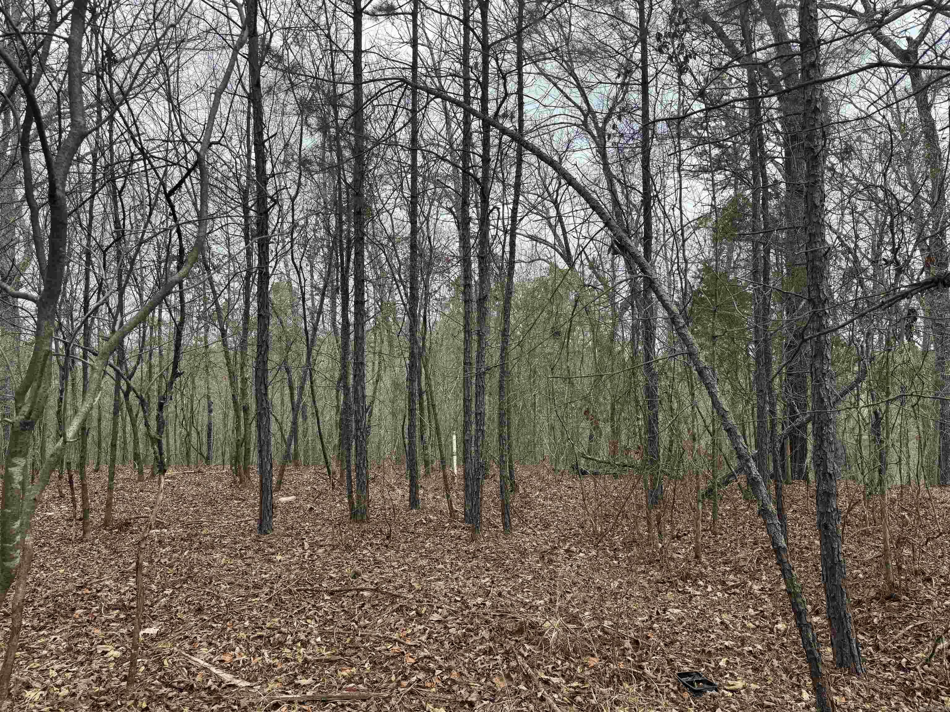 Treasure Isle #1 - Land