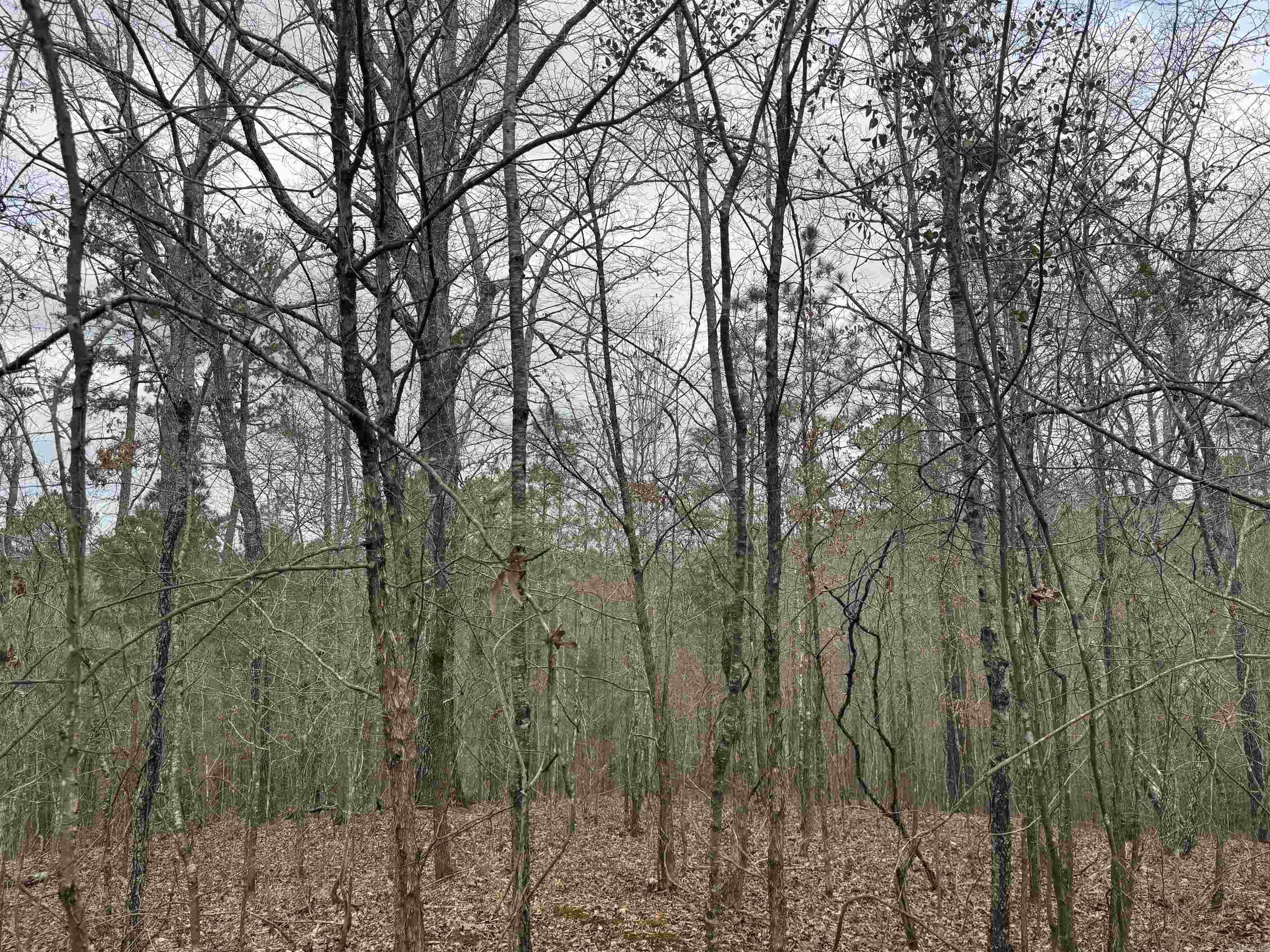 Treasure Isle #1 - Land