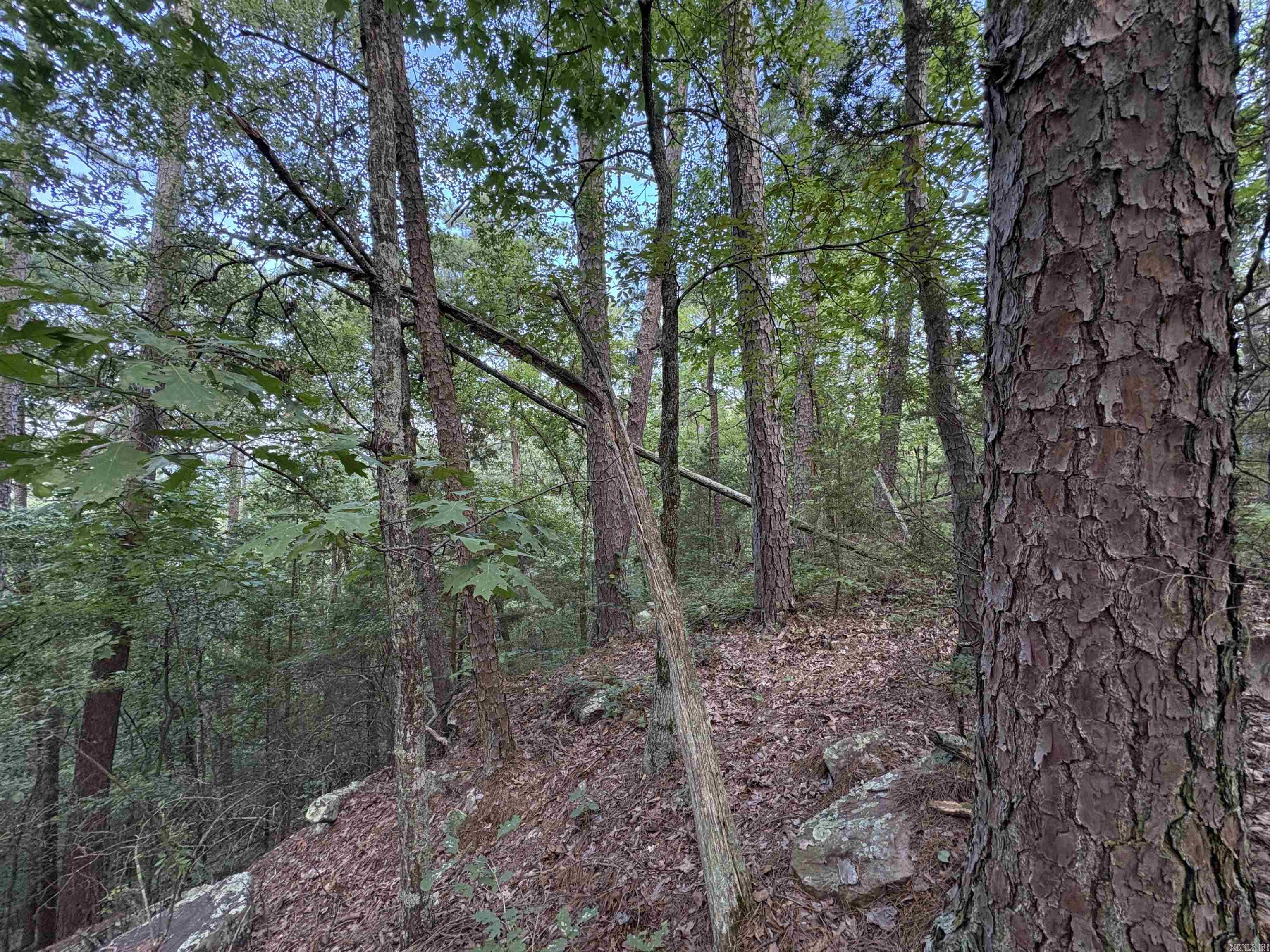 Metes & Bounds - Land