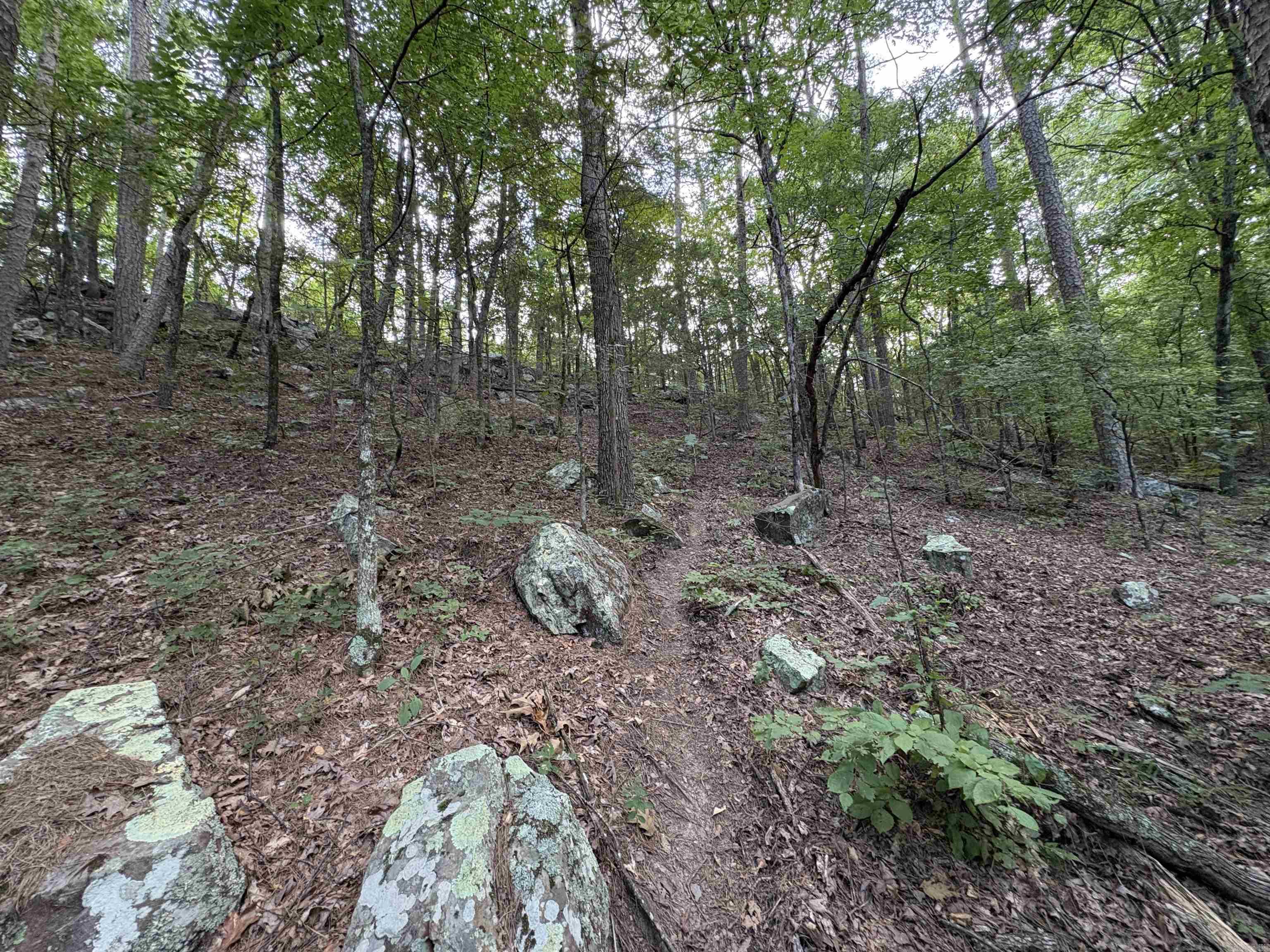 Metes & Bounds - Land