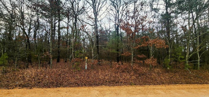 Looking for a beautiful Country Lot for your new home?  This is your chance.  Mature hardwoods and quiet living.  Some utilities available. No Restrictions!  Give me a call today!