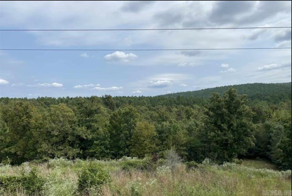 172 Acres alongside the Hot Springs Bypass extension. Great location for RV Park and/or Storage facility. More or less  4700' along side of Hwy 5.