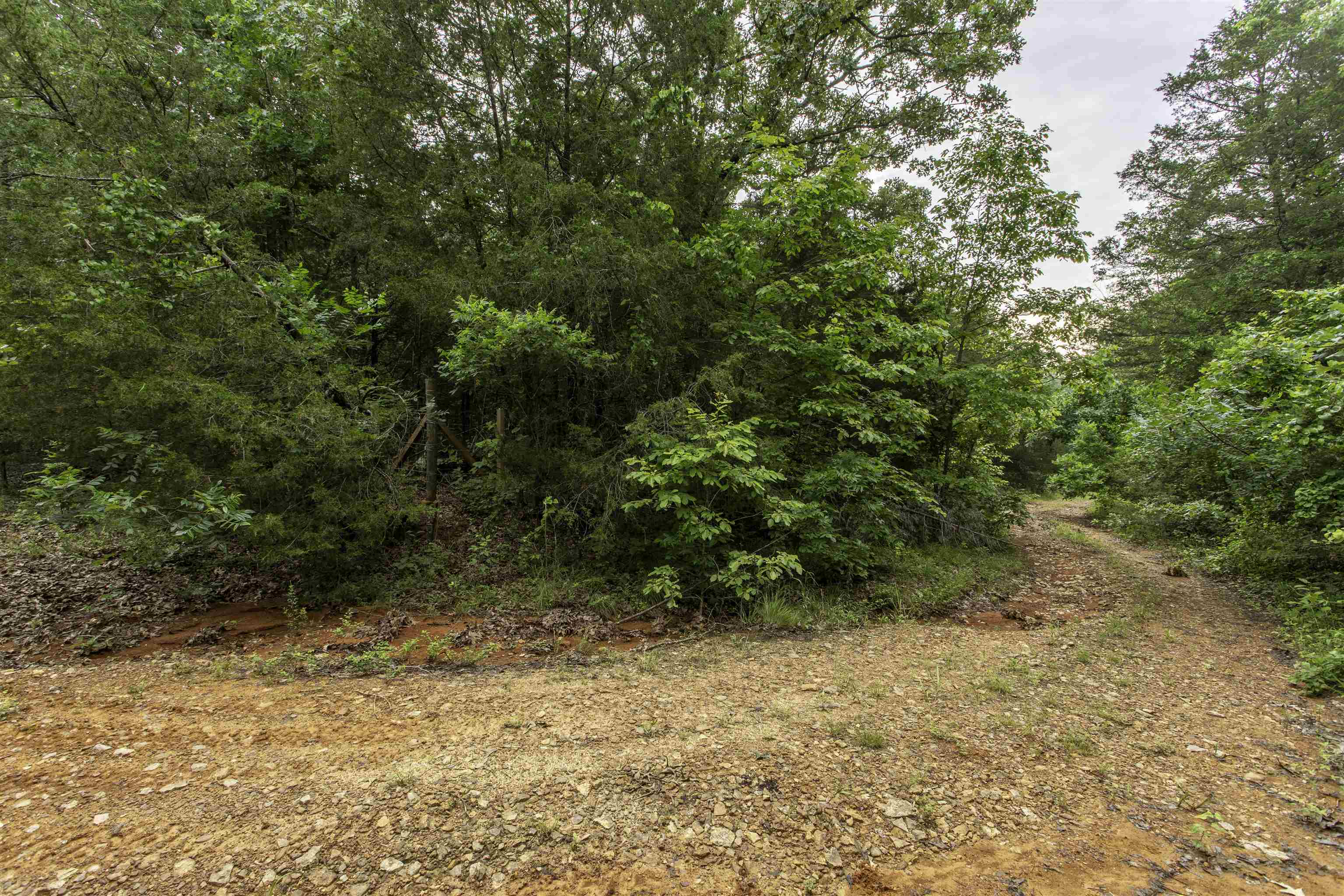 5.44 Secluded Acres in Sharp County, AR – Near Harold Alexander Wildlife Management Area. Bring your 4 Wheel Drive. Tucked away in the wilds of Sharp County, this 5.44-acre wooded tract offers the ultimate escape. With country road frontage and a remote setting, it’s the kind of place so far off-grid you might joke about needing to pipe in sunshine. If you’re looking for privacy, this land delivers. Located near the Harold E. Alexander Wildlife Management Area, it’s ideal for outdoor enthusiasts, hunters, and anyone wanting to get off the beaten path. The property is heavily wooded with mature trees and plenty of natural character, perfect for a cabin, recreational use, or an off-grid homestead. Enjoy peace, quiet, and endless possibilities in a setting where nature comes first. no neighbors in sight—just raw Arkansas land waiting for your vision. No far from the famous Spring River for floating and fishing. GPS COORDINATES 36.1460699 -91.4566698