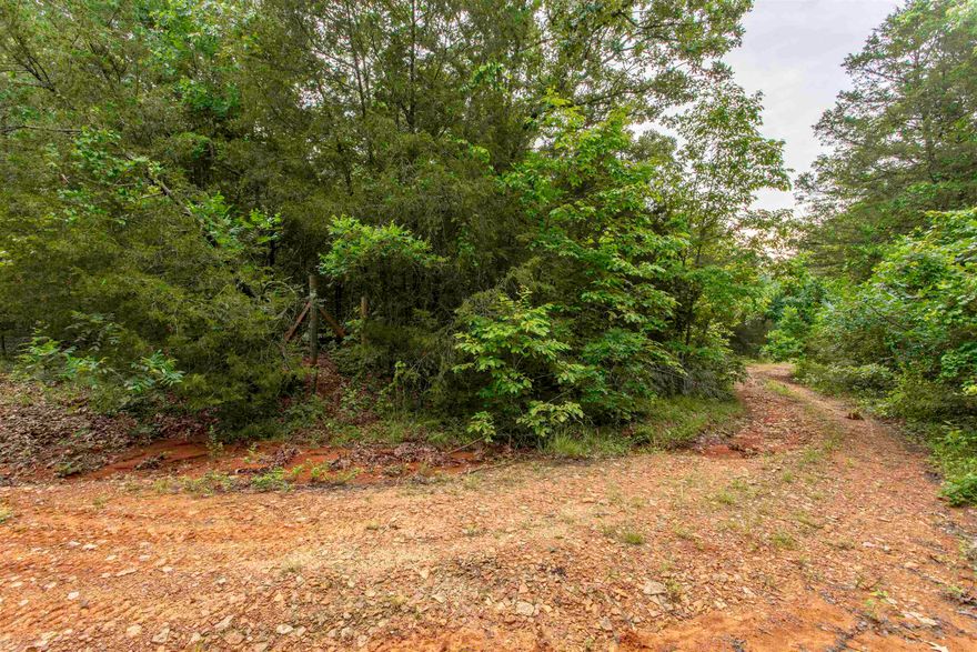 5.44 Secluded Acres in Sharp County, AR – Near Harold Alexander Wildlife Management Area. Bring your 4 Wheel Drive.  Tucked away in the wilds of Sharp County, this 5.44-acre wooded tract offers the ultimate escape. With country road frontage and a remote setting, it’s the kind of place so far off-grid you might joke about needing to pipe in sunshine. If you’re looking for privacy, this land delivers. Located near the Harold E. Alexander Wildlife Management Area, it’s ideal for outdoor enthusiasts, hunters, and anyone wanting to get off the beaten path. The property is heavily wooded with mature trees and plenty of natural character, perfect for a cabin, recreational use, or an off-grid homestead. Enjoy peace, quiet, and endless possibilities in a setting where nature comes first.  no neighbors in sight—just raw Arkansas land waiting for your vision. No far from the famous Spring River for floating and fishing.  GPS COORDINATES 36.1460699 -91.4566698