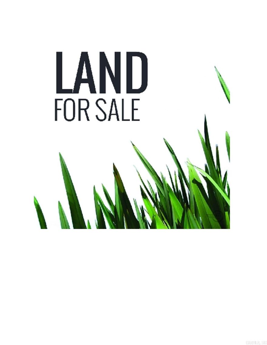 140 acres of farmland. Rice/Soybeans