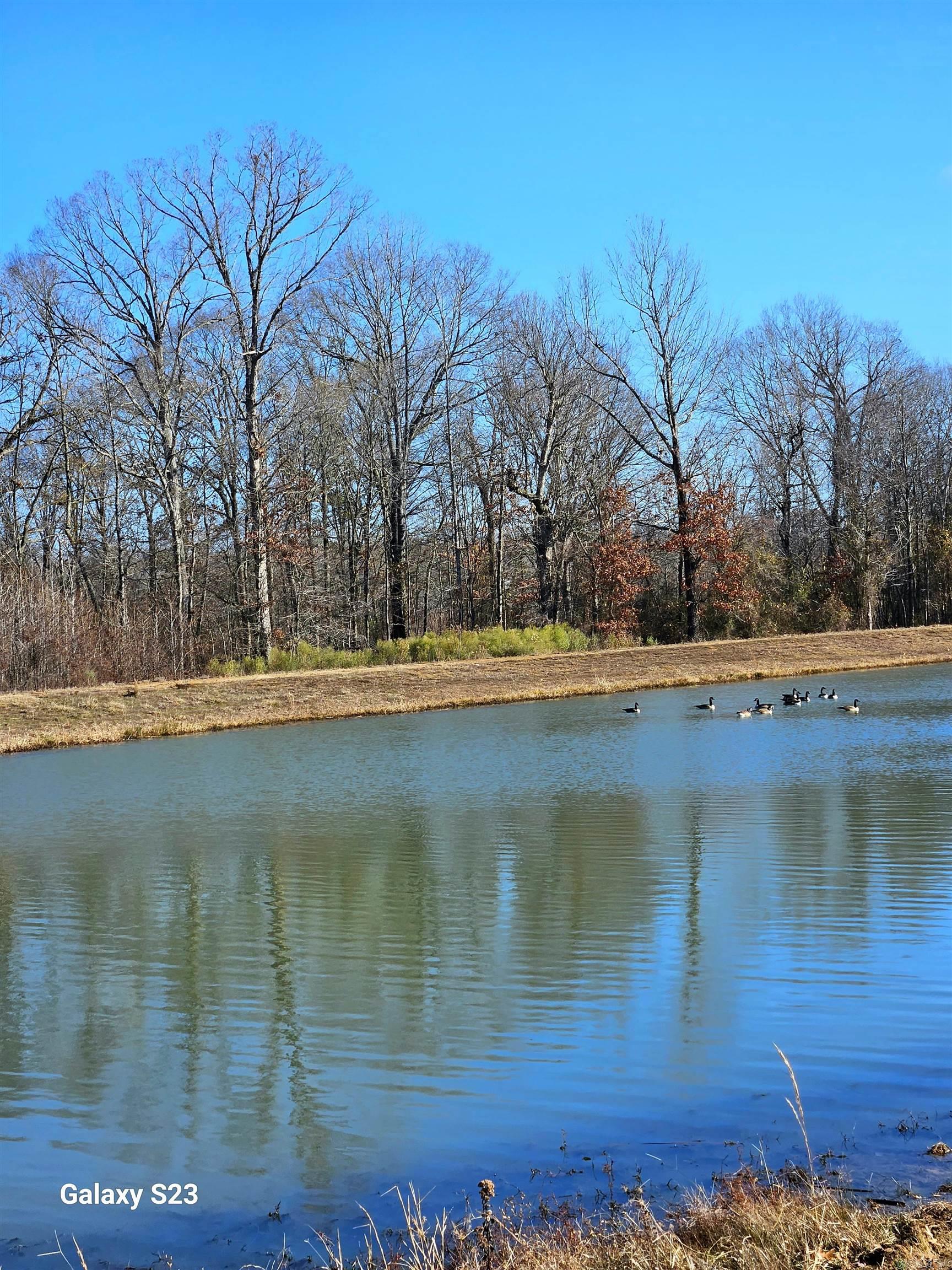 JAXON TERRACE - Residential