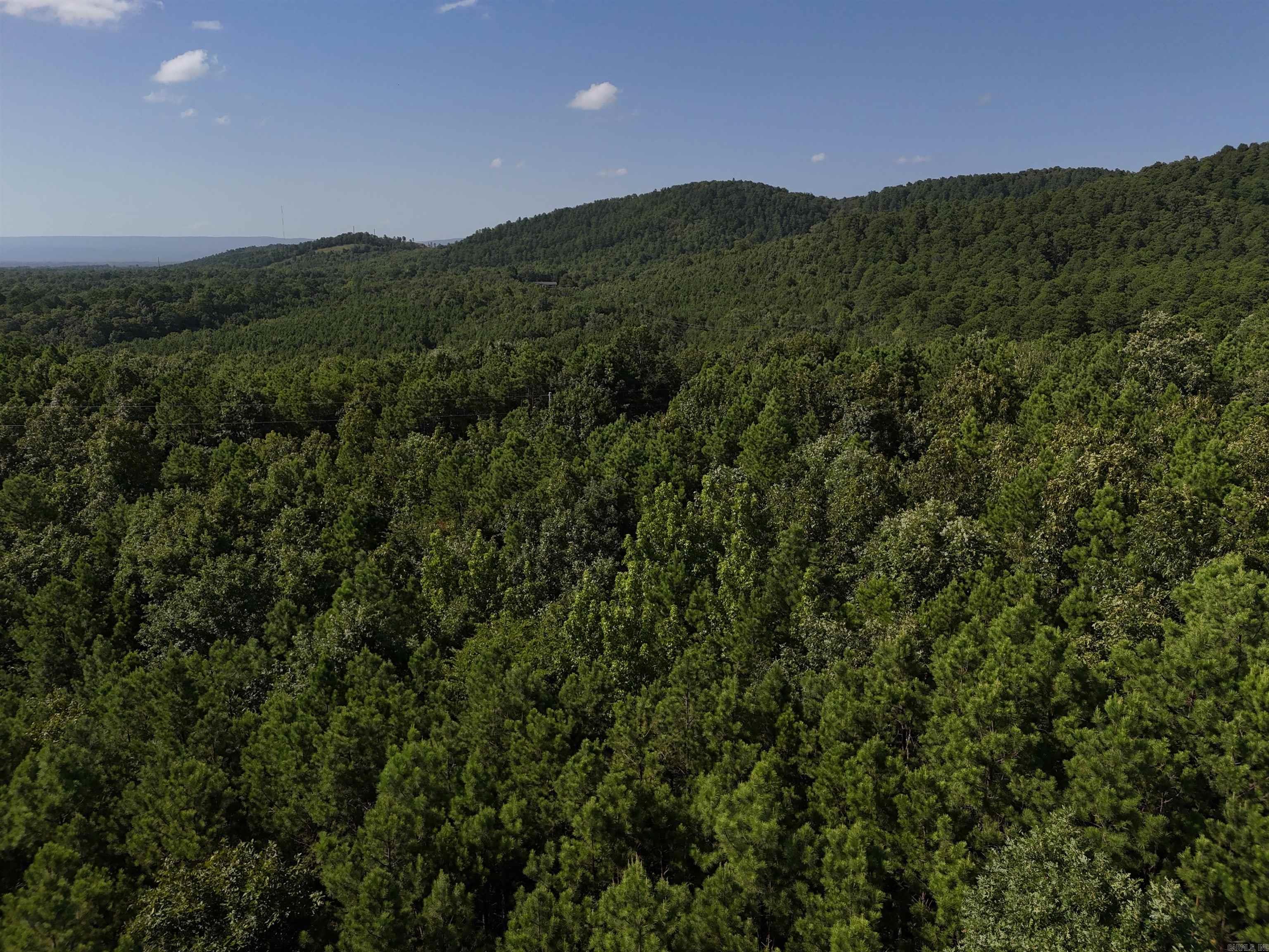 3.711 acres waiting for your new home in the beautiful Rustic Ridge Subdivision! Enjoy mountain views, peaceful surroundings, wildlife, and a great location just minutes to downtown Mena. Ride straight to the Wolf Pen Gap west trailhead which is just 12 miles away. Electric is available, and a survey is completed. This lot is a beautiful place to build, relax and explore - come take a look today!