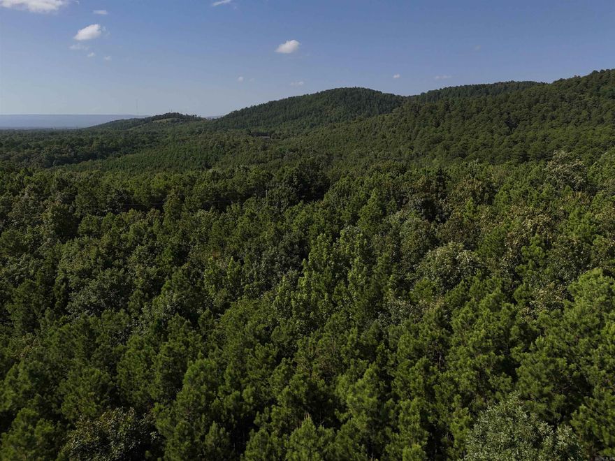 3.711 acres waiting for your new home in the beautiful Rustic Ridge Subdivision! Enjoy mountain views, peaceful surroundings, wildlife, and a great location just minutes to downtown Mena. Ride straight to the Wolf Pen Gap west trailhead which is just 12 miles away. Electric is available, and a survey is completed. This lot is a beautiful place to build, relax and explore - come take a look today!