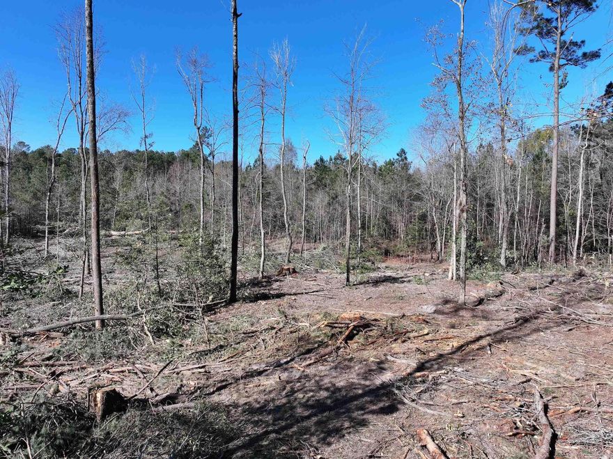 28± Acres in Malvern, AR | Glen Rose School District Beautiful 28± acre tract located in Malvern within the Glen Rose School District. Property features gently rolling terrain with a mix of open areas and timber. Timber has been mostly thinned, creating the space for a park-like setting that’s easy to walk and use. Ideal for a homesite, recreational property, or investment with multiple potential building sites. Serene rural setting with convenient access to town, schools, and amenities.