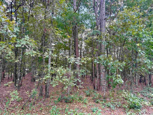 6 ELLEN LN, HIGDEN, AR 72067 - Image c8580cd7dd2d797a9affe01877b2647e/2101871970
