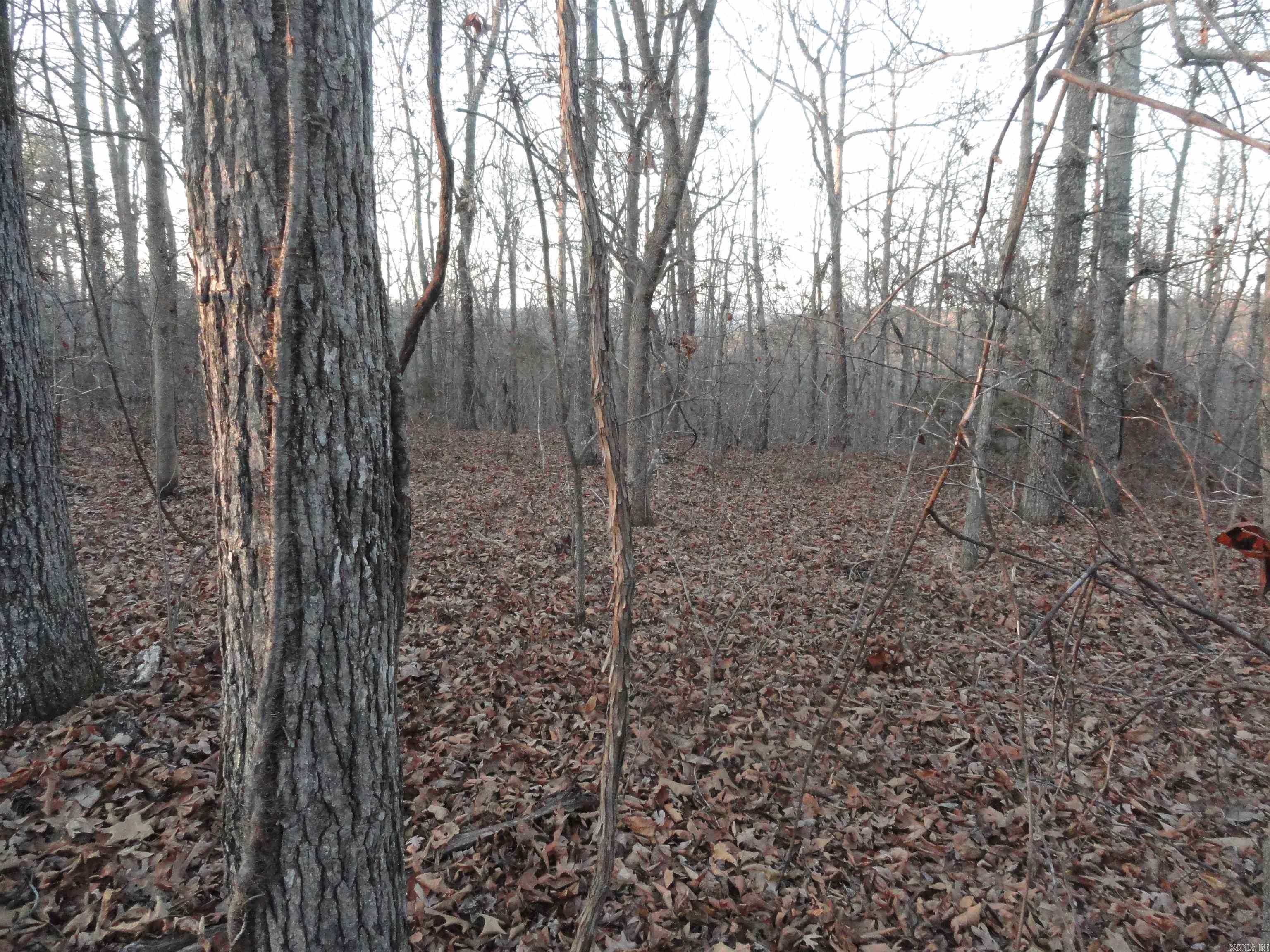 Metes & Bounds - Land