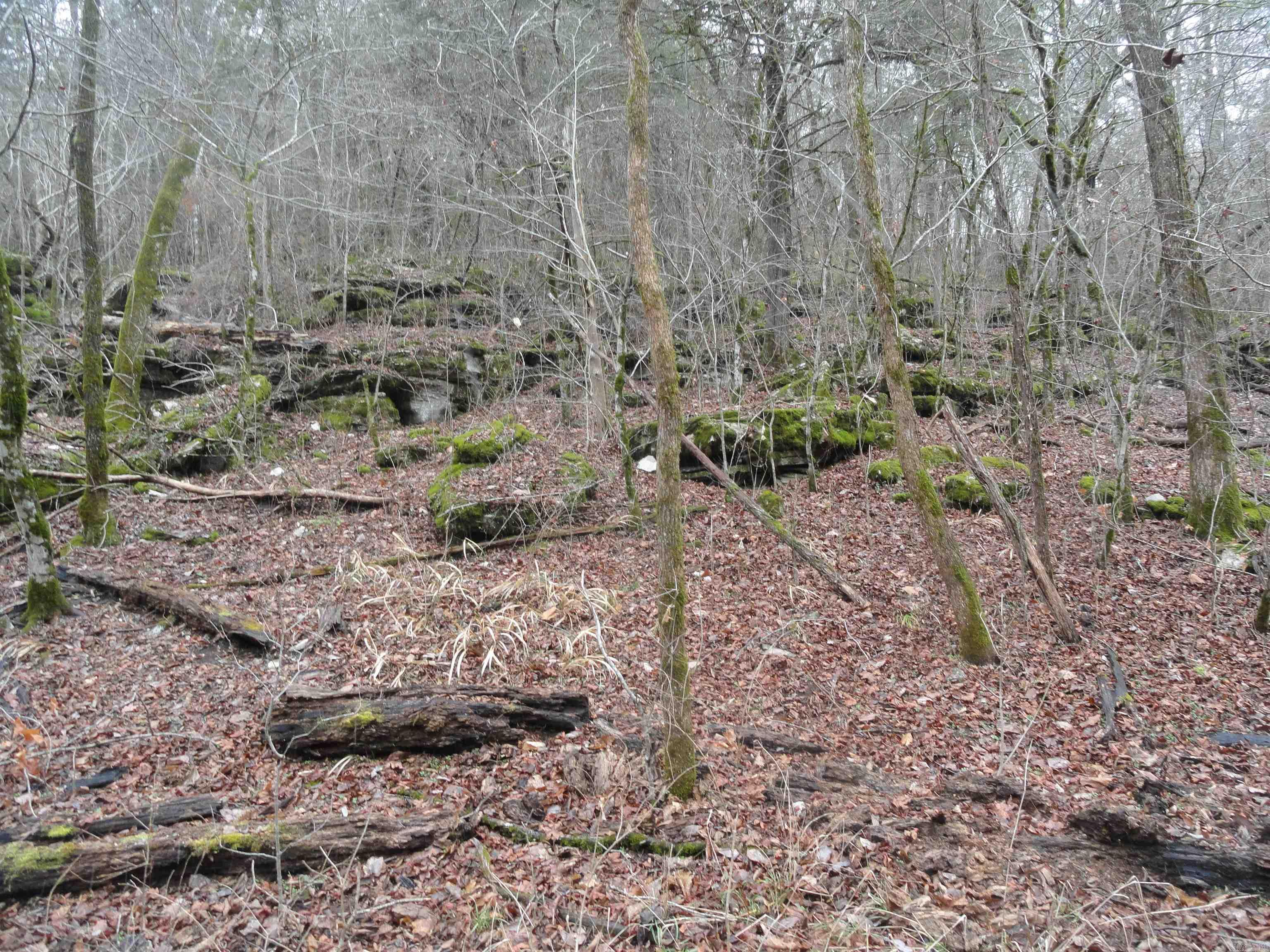 Metes & Bounds - Land