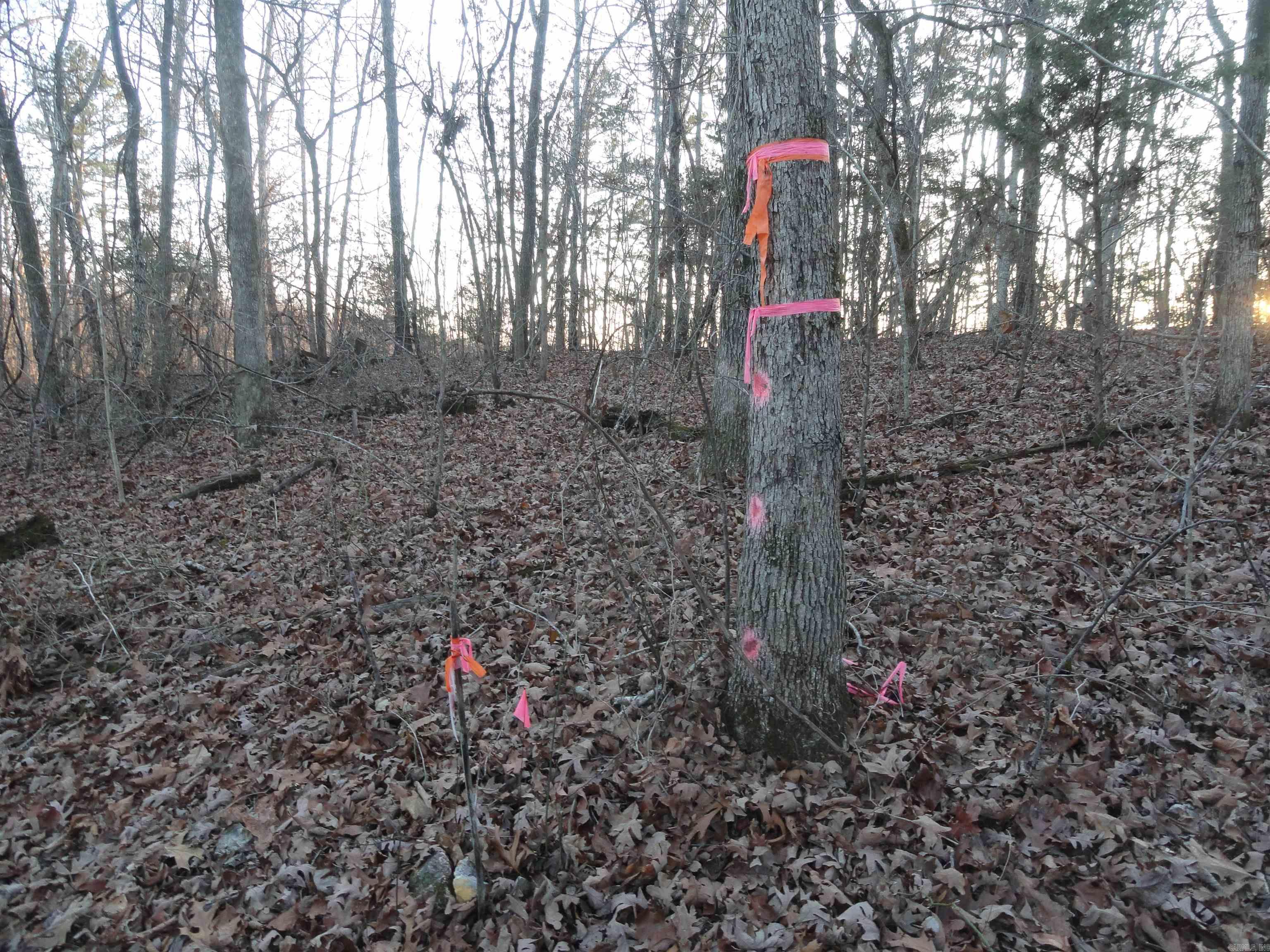 Metes & Bounds - Land