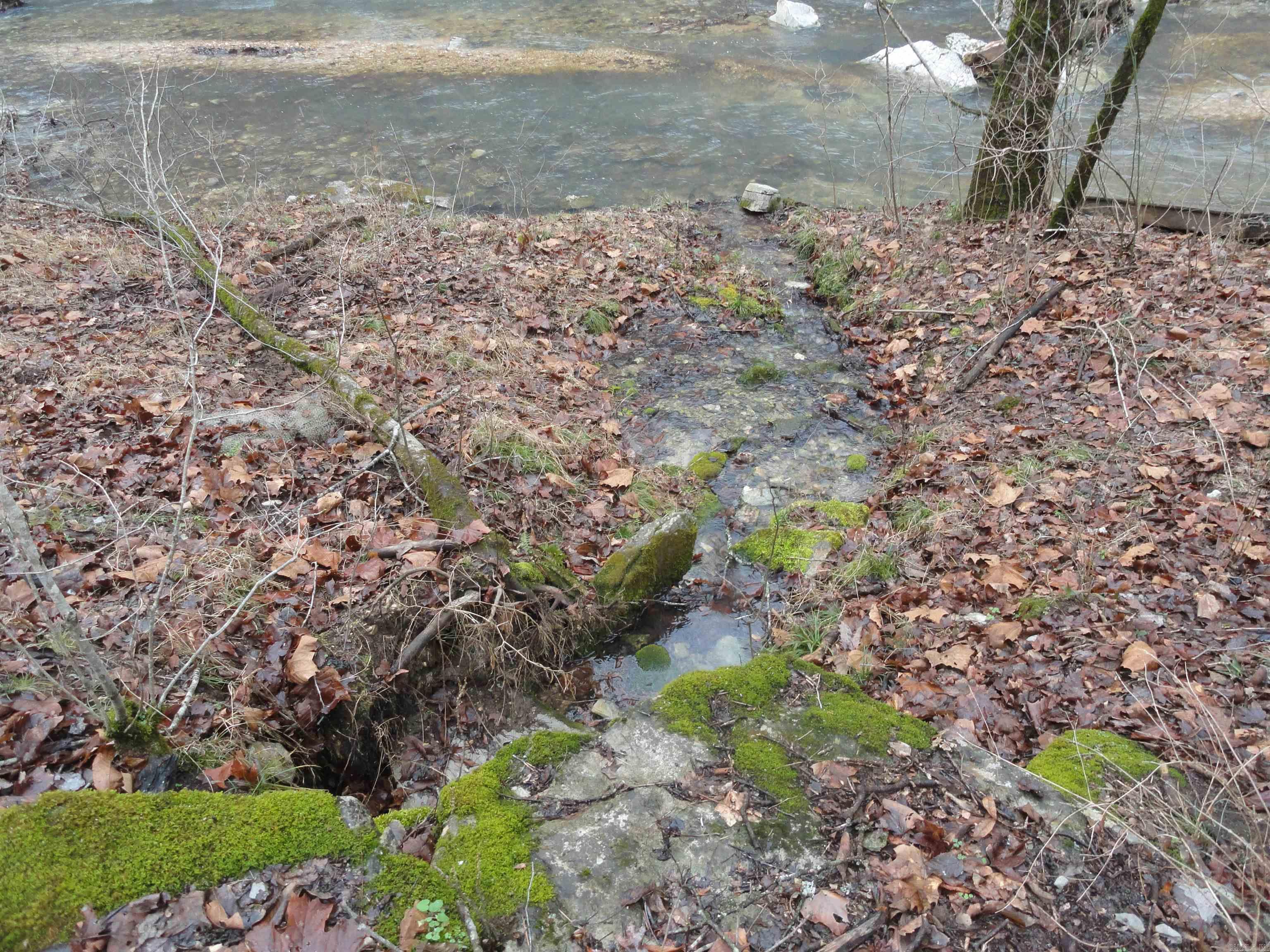 Metes & Bounds - Land