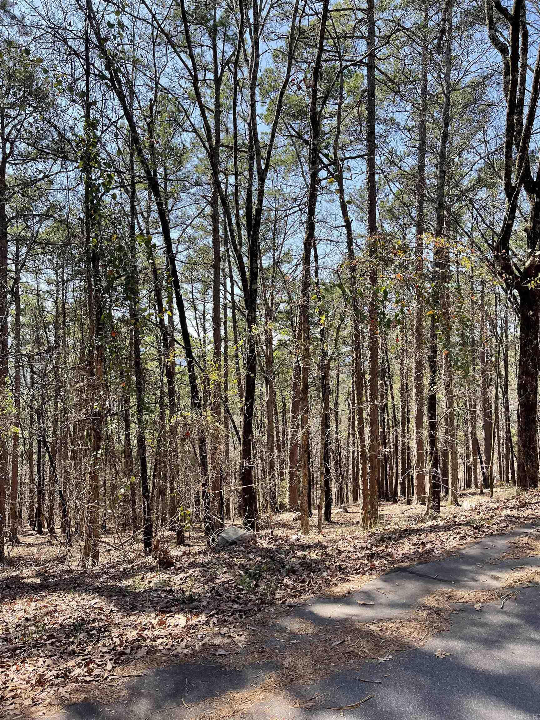 Beautiful wooded lot in Hot Springs Village! Boasting 9 golf courses, 11 lakes including a white sand beach, 2 marinas, pickle ball courts, play ground, fine arts auditorium, and much more. Located in the Ouachita Mountains, Hot Springs Village is the largest gated community in the US.First time buyers will have a $300 fee made payable to the POA at closing.