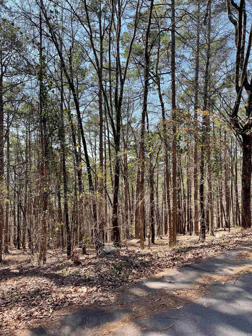Beautiful wooded lot in Hot Springs Village! Boasting 9 golf courses, 11 lakes including a white sand beach, 2 marinas, pickle ball courts, play ground, fine arts auditorium, and much more.  Located in the Ouachita Mountains, Hot Springs Village is the largest gated community in the US.First time buyers will have a $300 fee made payable to the POA at closing.