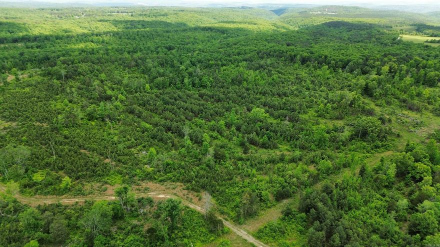 31.54 Acres for sale! Originally 51.94 acres - 20.4 Acres were recently sold! Come take a look before the rest are gone! Survey on file. Get away from the city life and come develop this great piece of land with no restrictions! Enjoy the peace and tranquility that Shirley has to offer. With this much space, you'll enjoy having privacy. You'll have plenty of road frontage with Shady Grove Road ensuring you'll have easy legal access to this property. Water and Electricity at the road. Don't miss out on this opportunity to own and develop a unique piece of the Natural State!