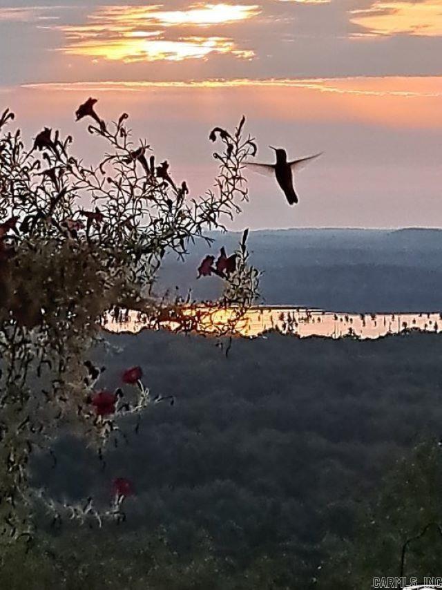 The Summit Phase I - Residential