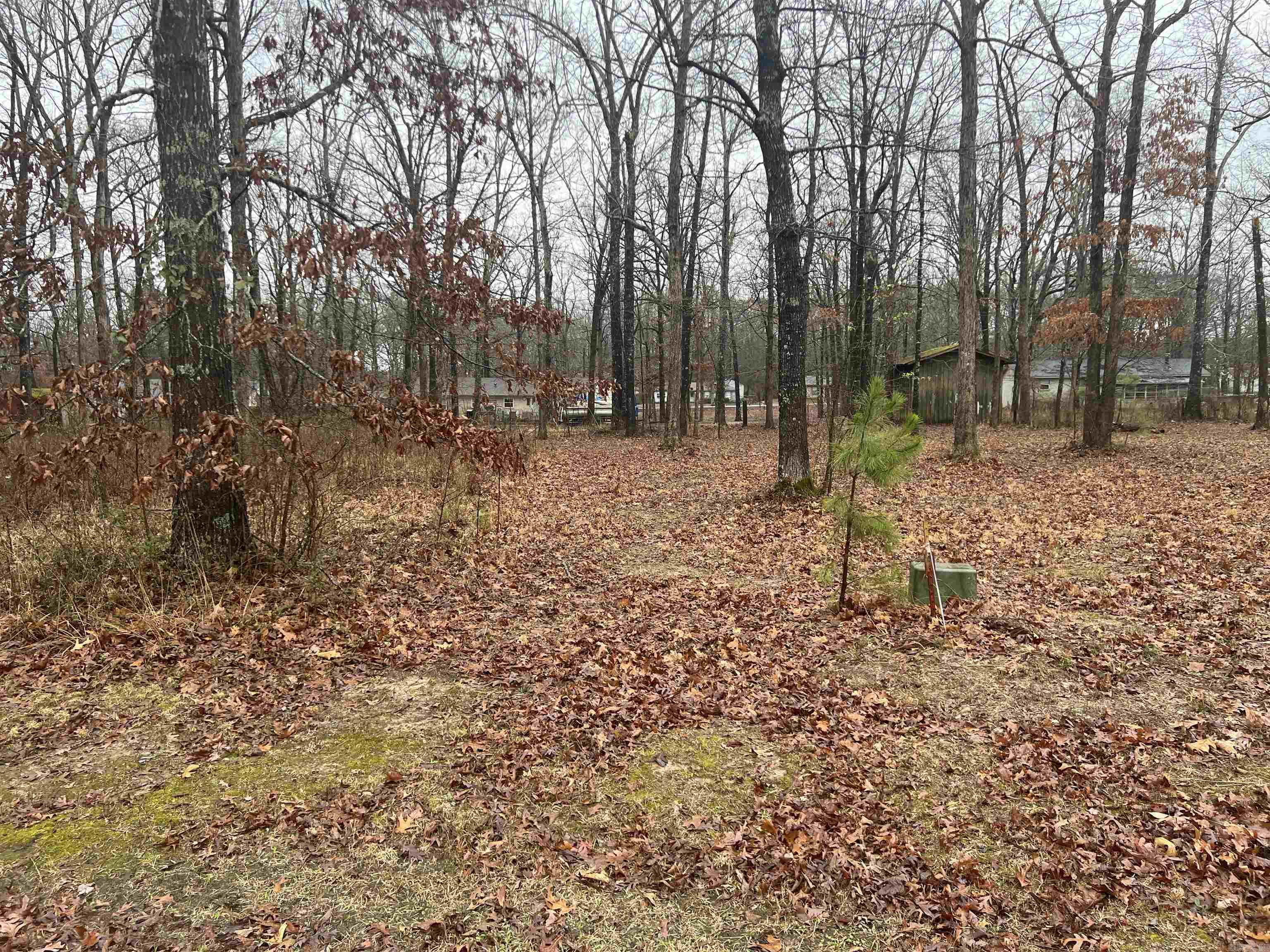 Whispering Oak - Land