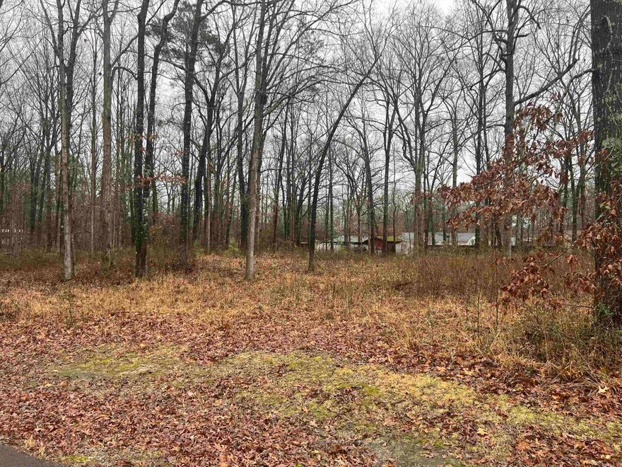 Beautiful, buildable lots in desired subdivision in Redfield