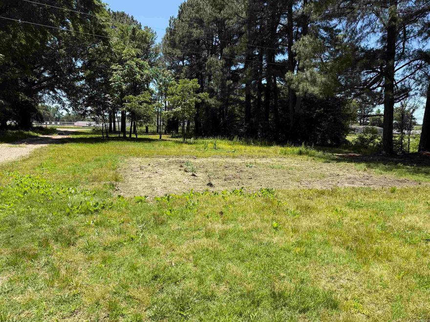 3 Bedroom 2 bath mobile home Sitting on 1.50 acre lot. North side of Paragould on paved road. There is a well and a newer septic. Not in flood zone. Good rental property. "SOLD AS IS"