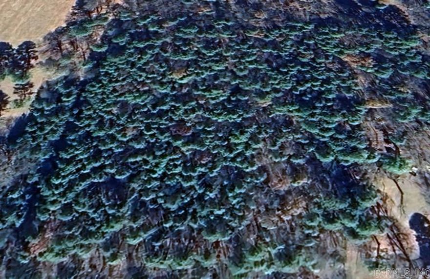 Great location!!  Just minutes from Lake Ludwig and the National Forest.  No restrictions.