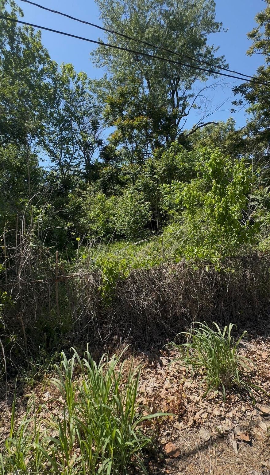 Wooded residential lot located in convenient location in town. Easily accessible by highway nearby.  With a little clearing, this could be an ideal site for a home.