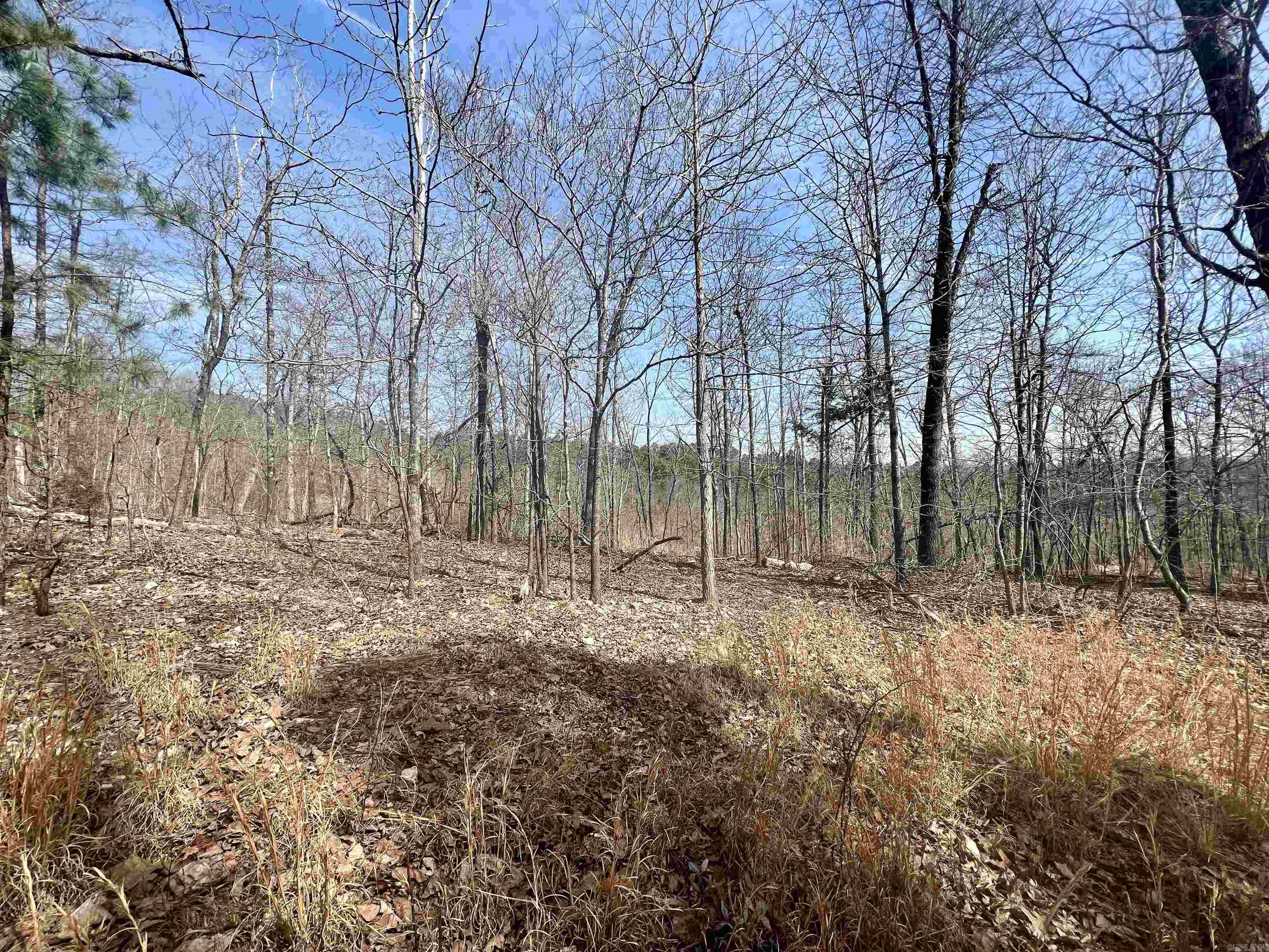 Not in Subdivision - Land