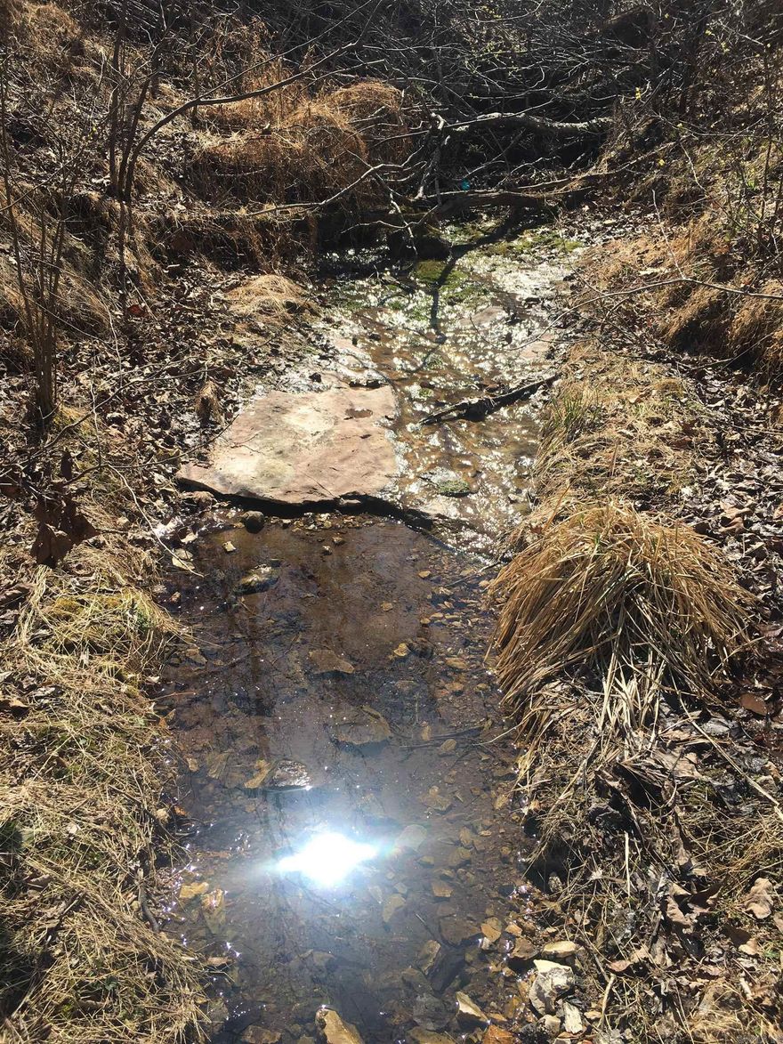 5acres m/L.  Unrestricted, and joining Buffalo National Park Service.  Located less than ½ mile down gravel road, and within 2 miles of river access.  Power along road at property.  Potential for good Southern views over the river valley and a nice Spring coming out in the hollow.