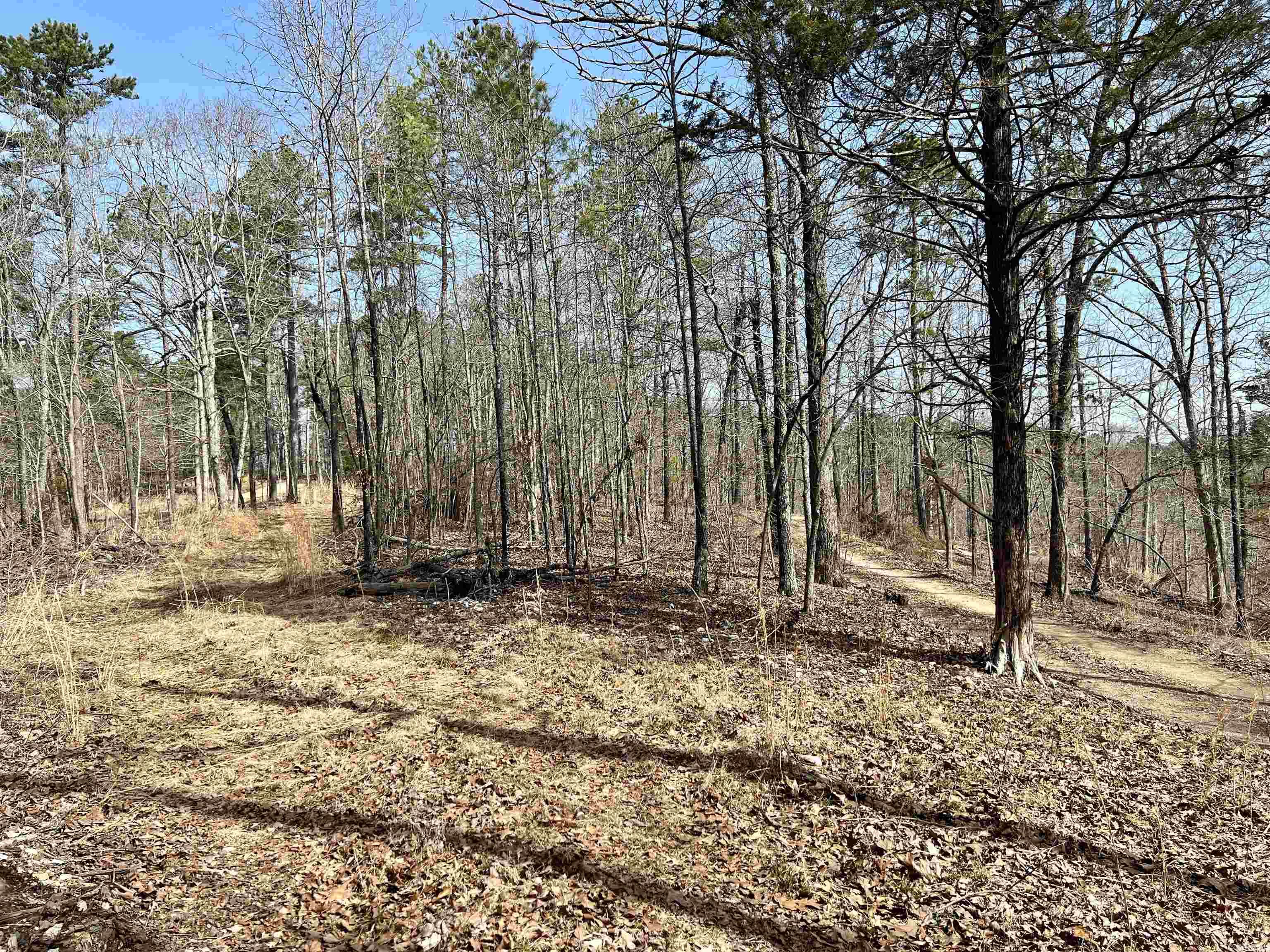 Not in Subdivision - Land