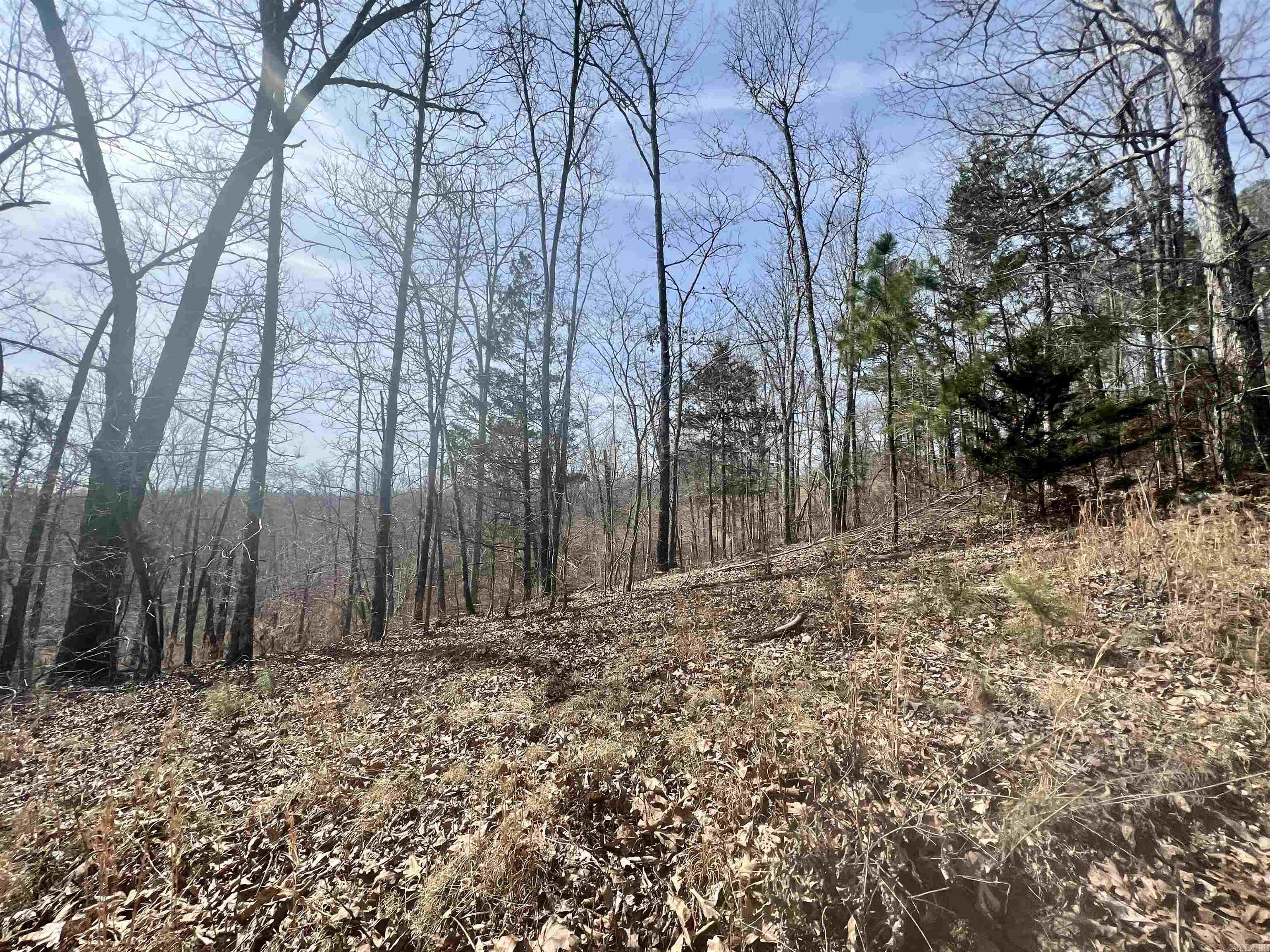 Not in Subdivision - Land