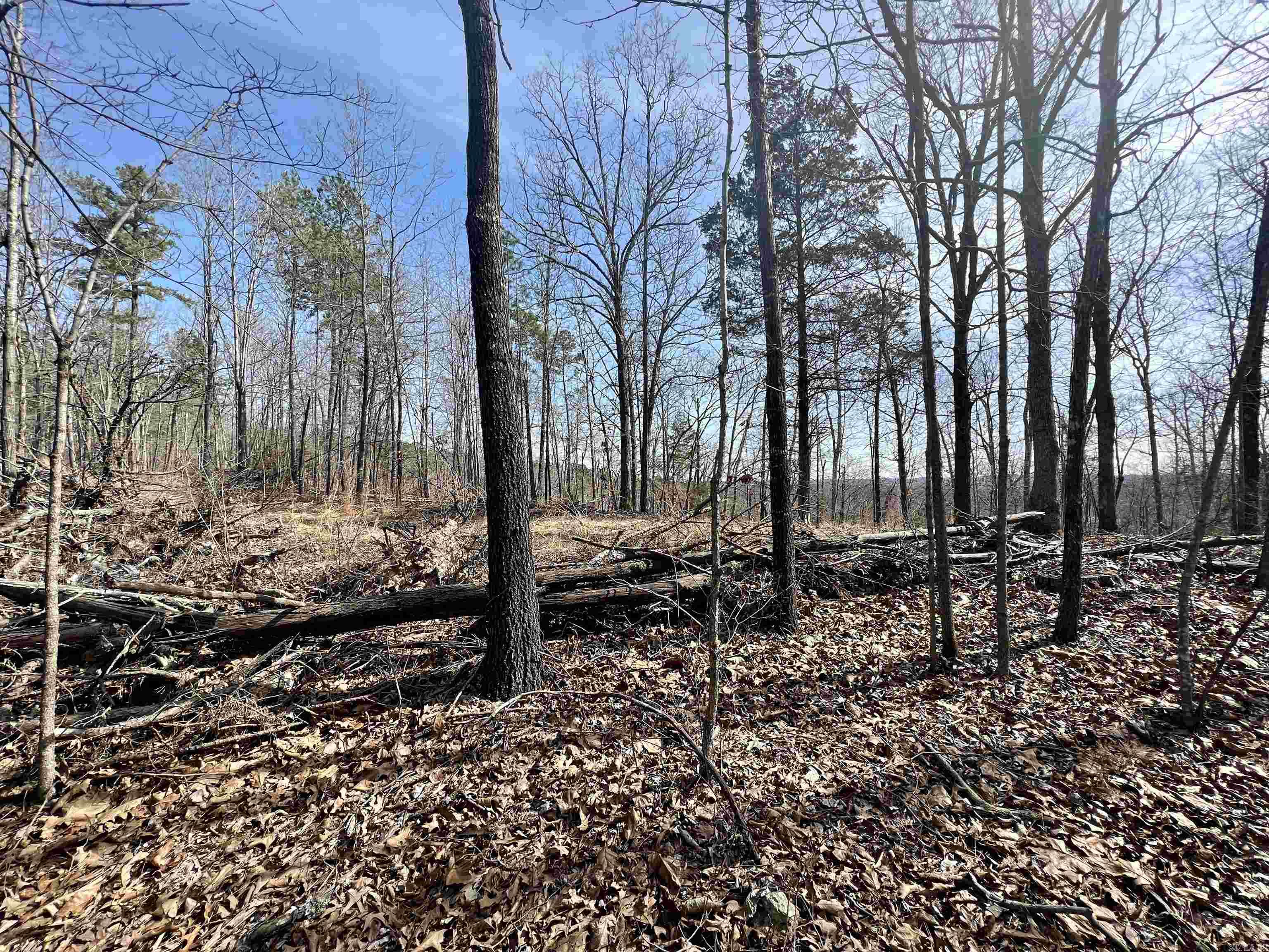 Not in Subdivision - Land